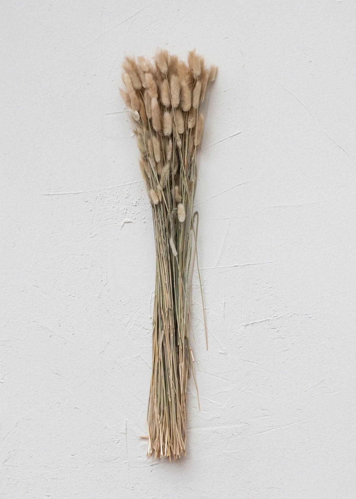 Dried Natural Bunny Tail Bunch