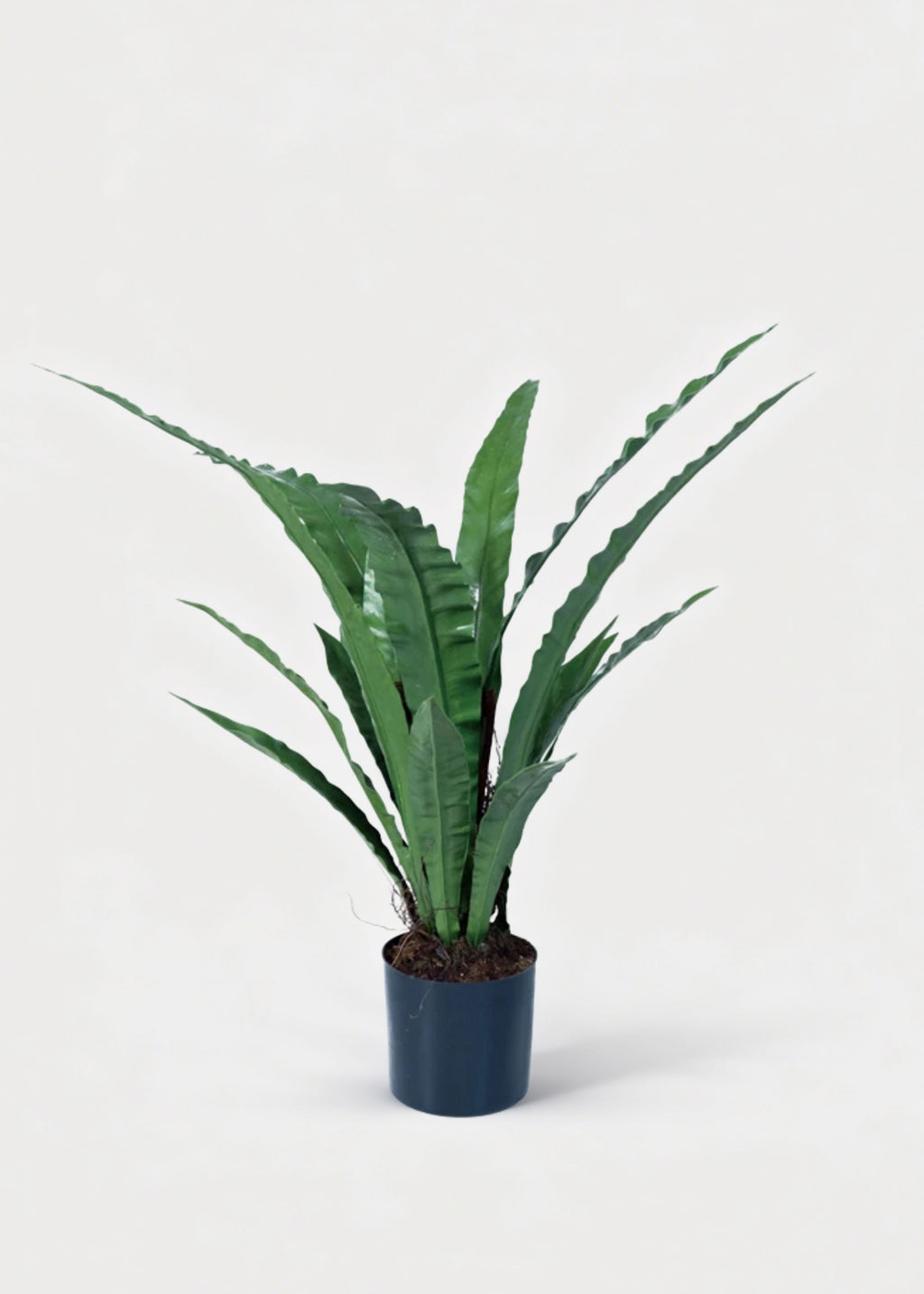 Natural Touch Fake Potted Bird Nest Fern Plant