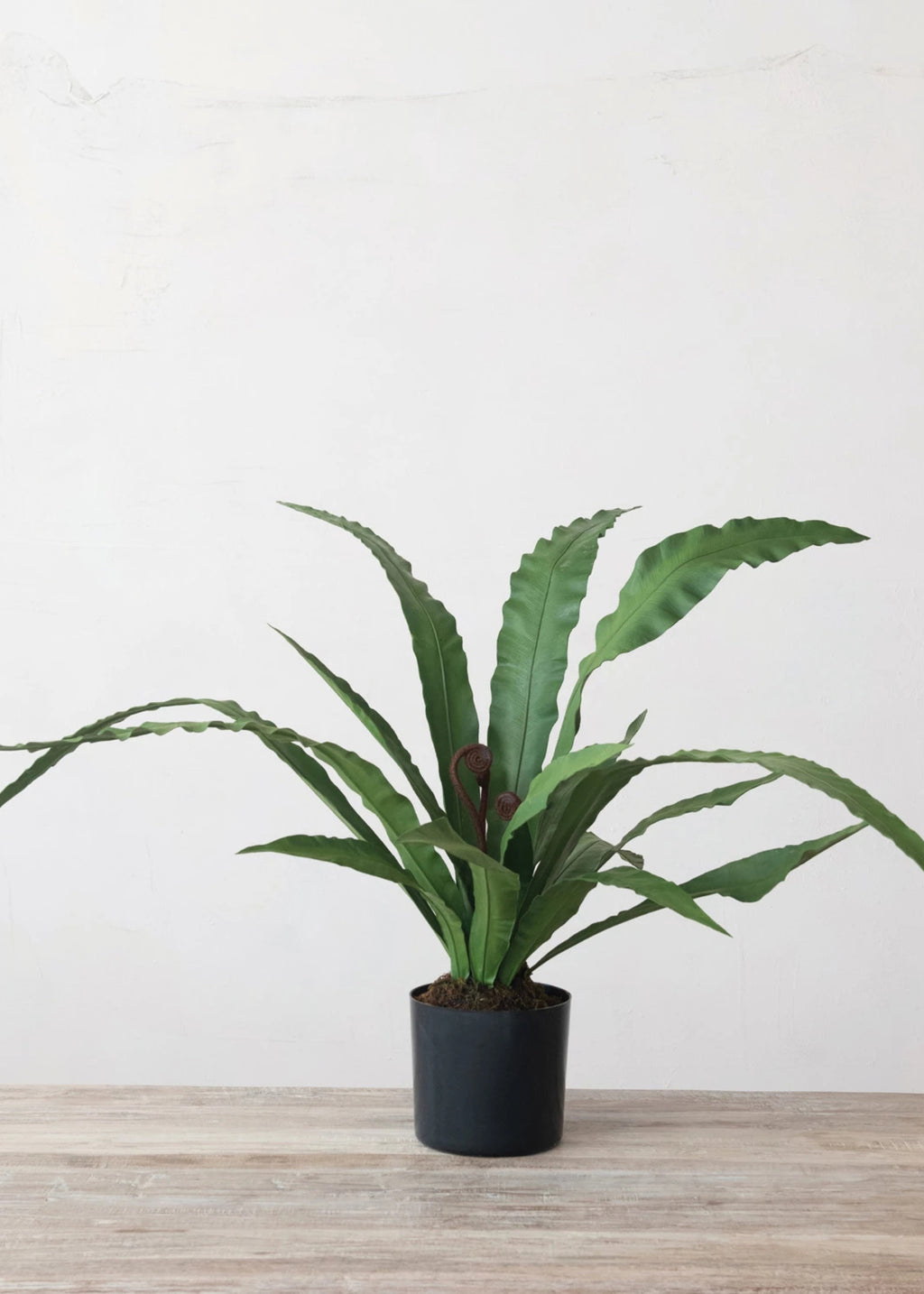 faux potted plant 