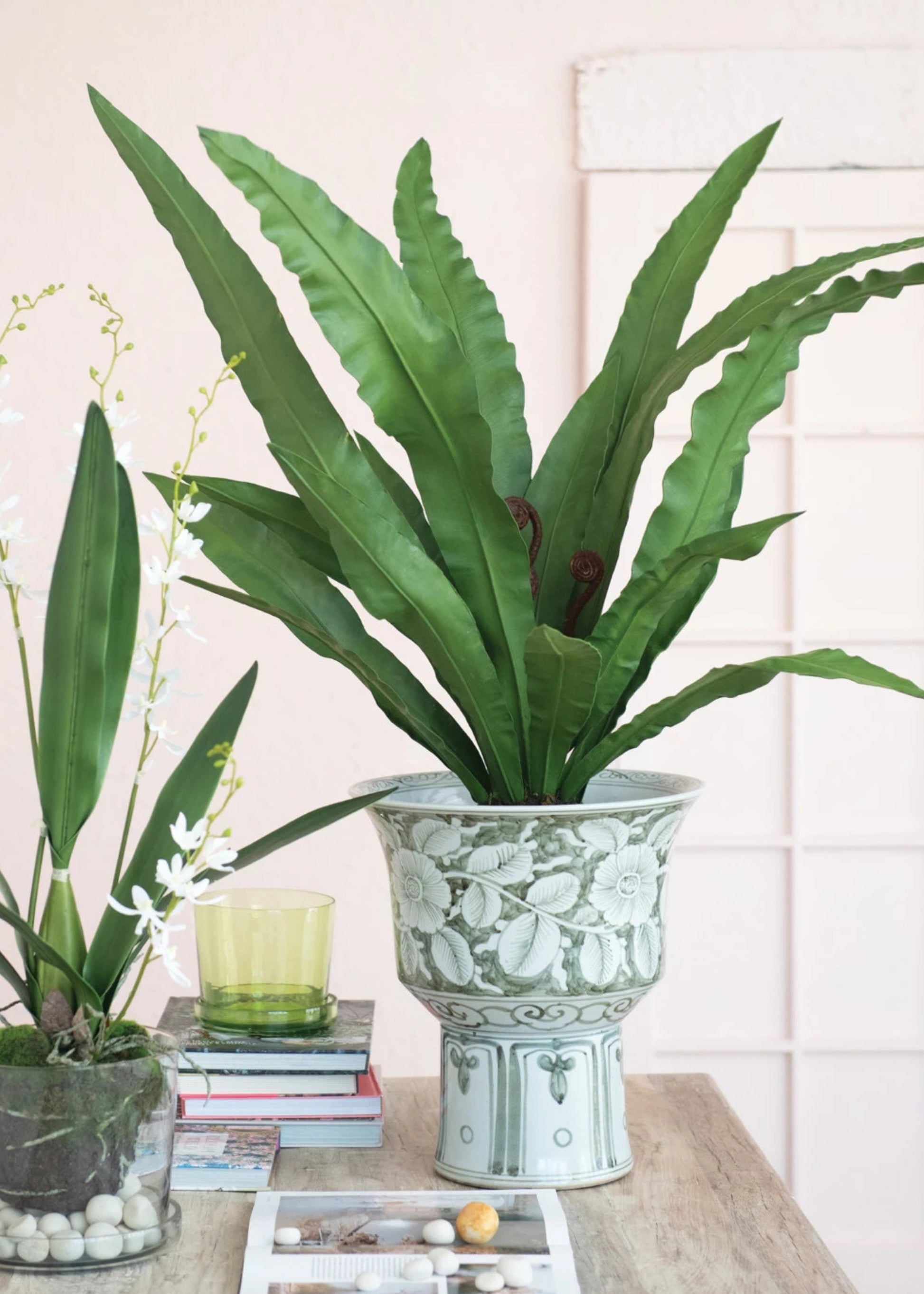 Fake Potted Bird Nest Fern Plant on Table