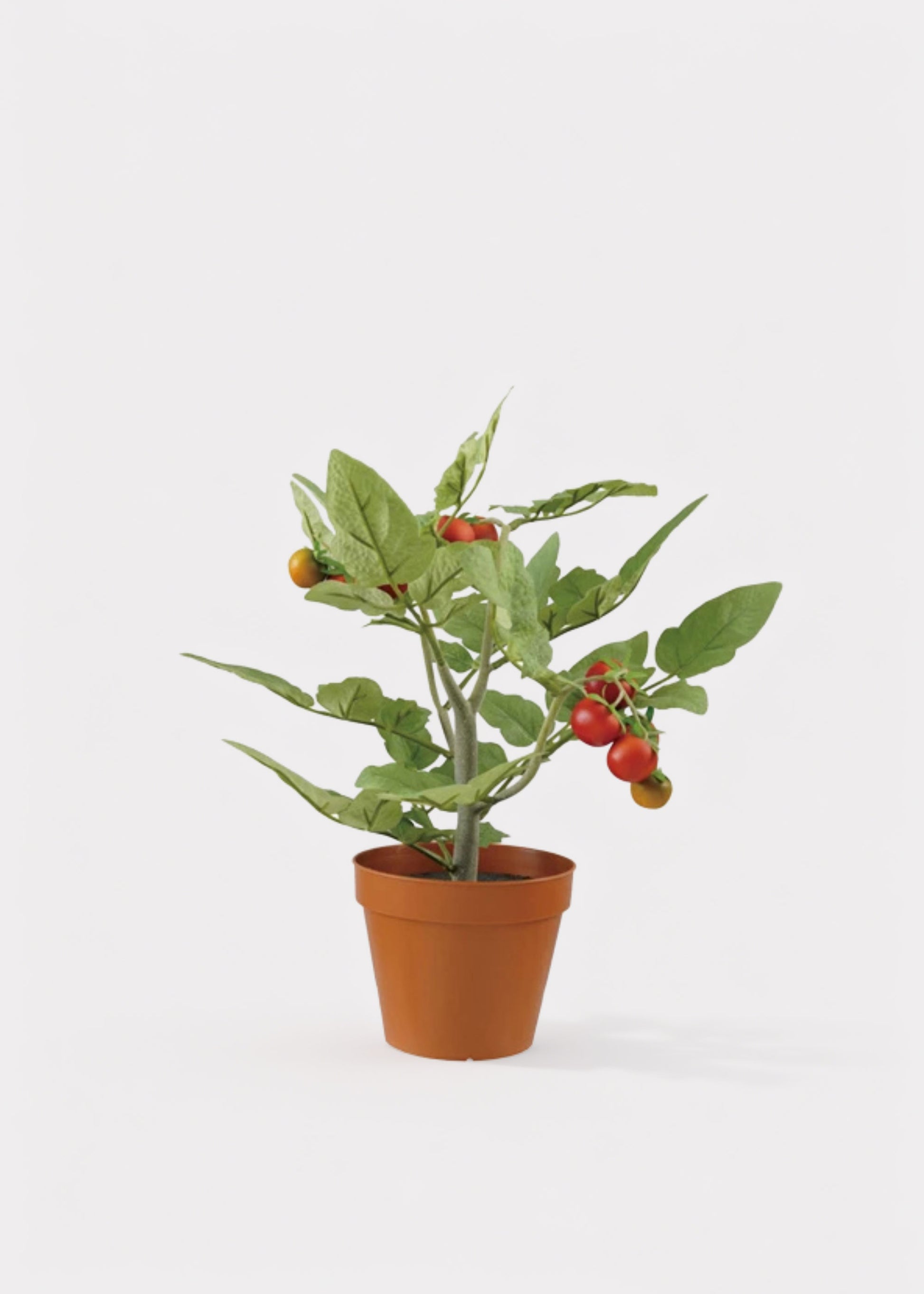Artificial Potted Tomato Plant in a Plastic Pot 