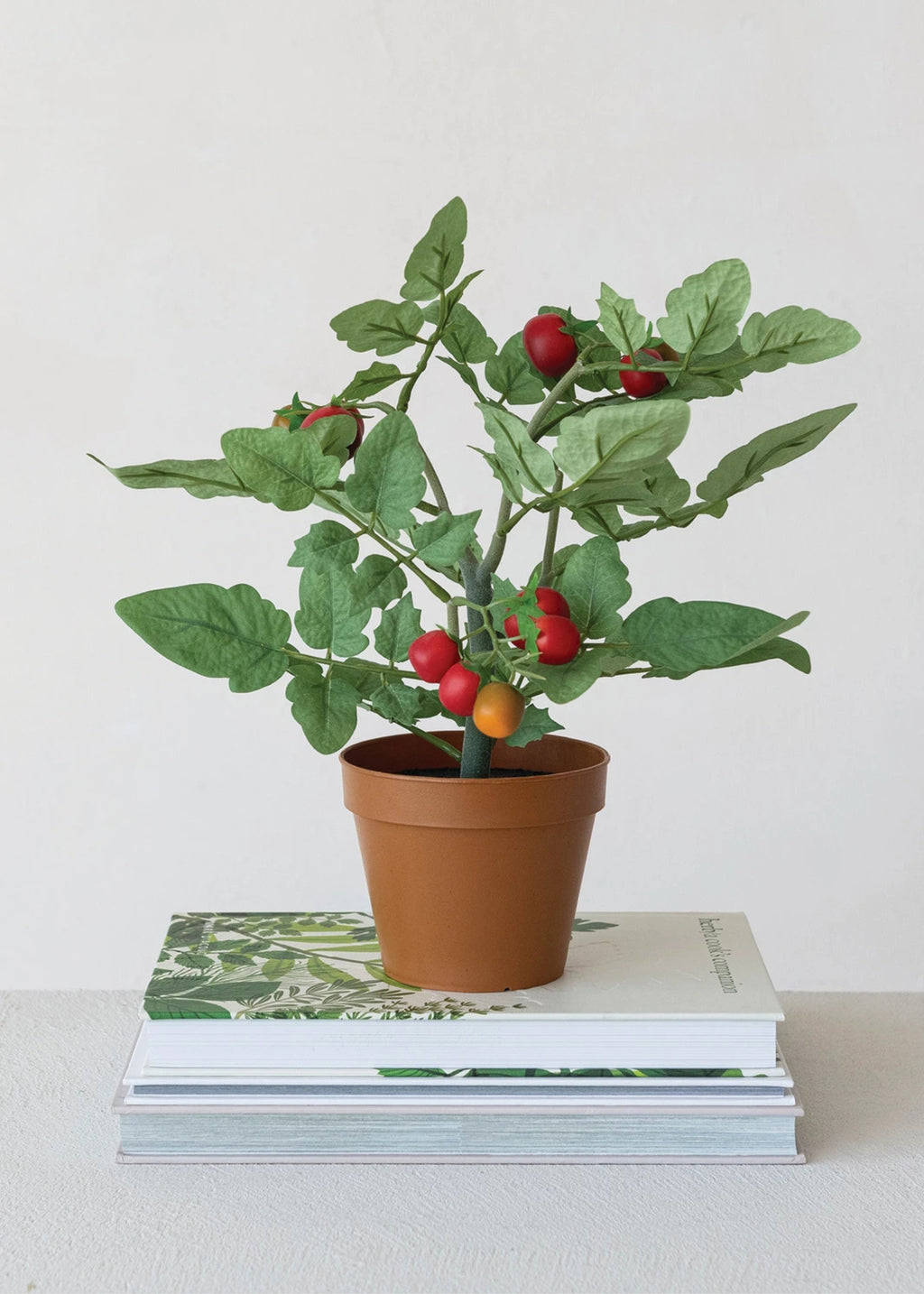 Potted plant with red tomatoes on a stack of books