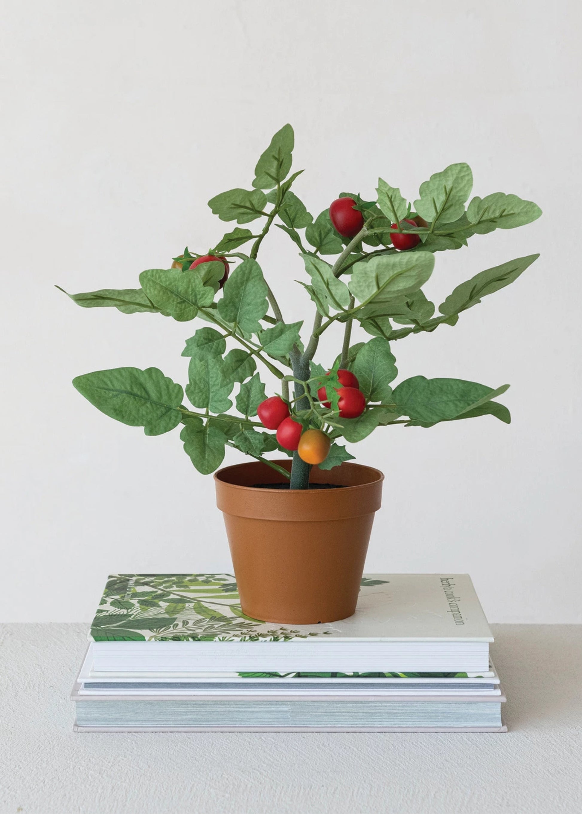 Potted plant with red tomatoes on a stack of books
