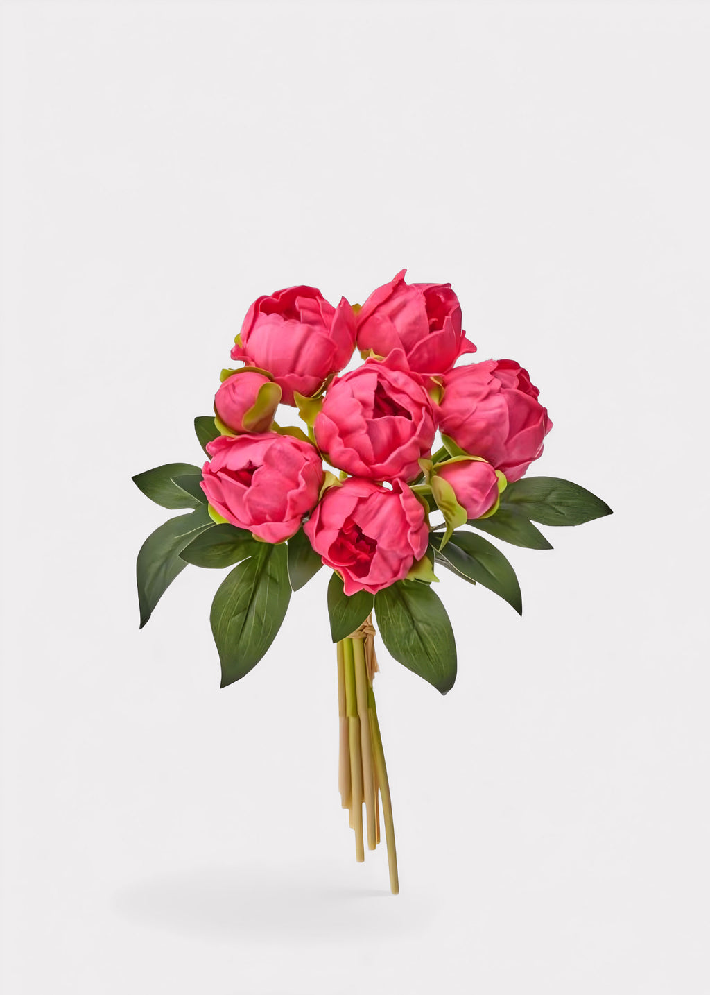 Bright Pink Peony Bundle
