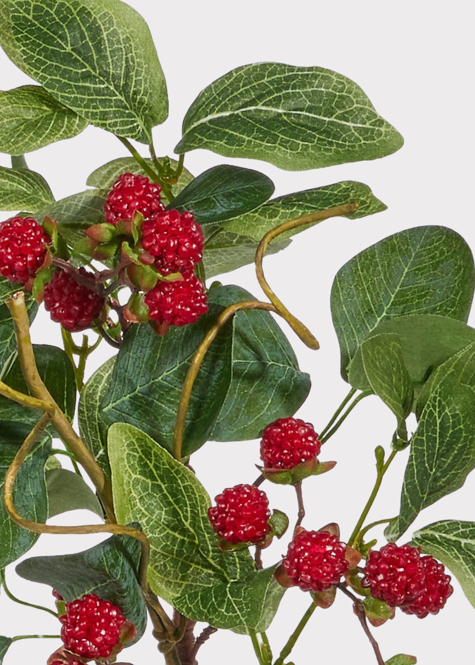 Close-up of fake red raspberry pick