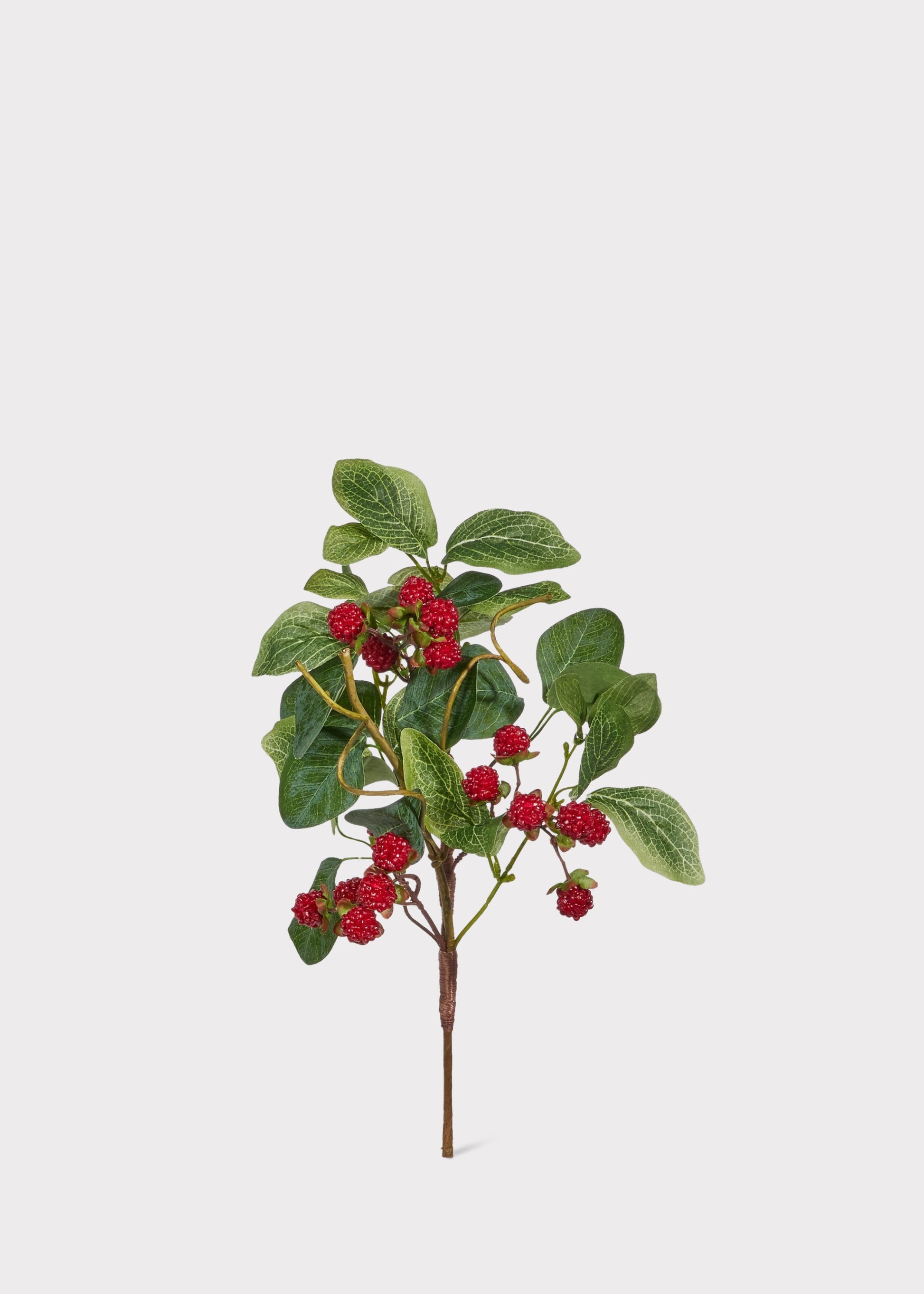 Artificial plant with red raspberries and green leaves