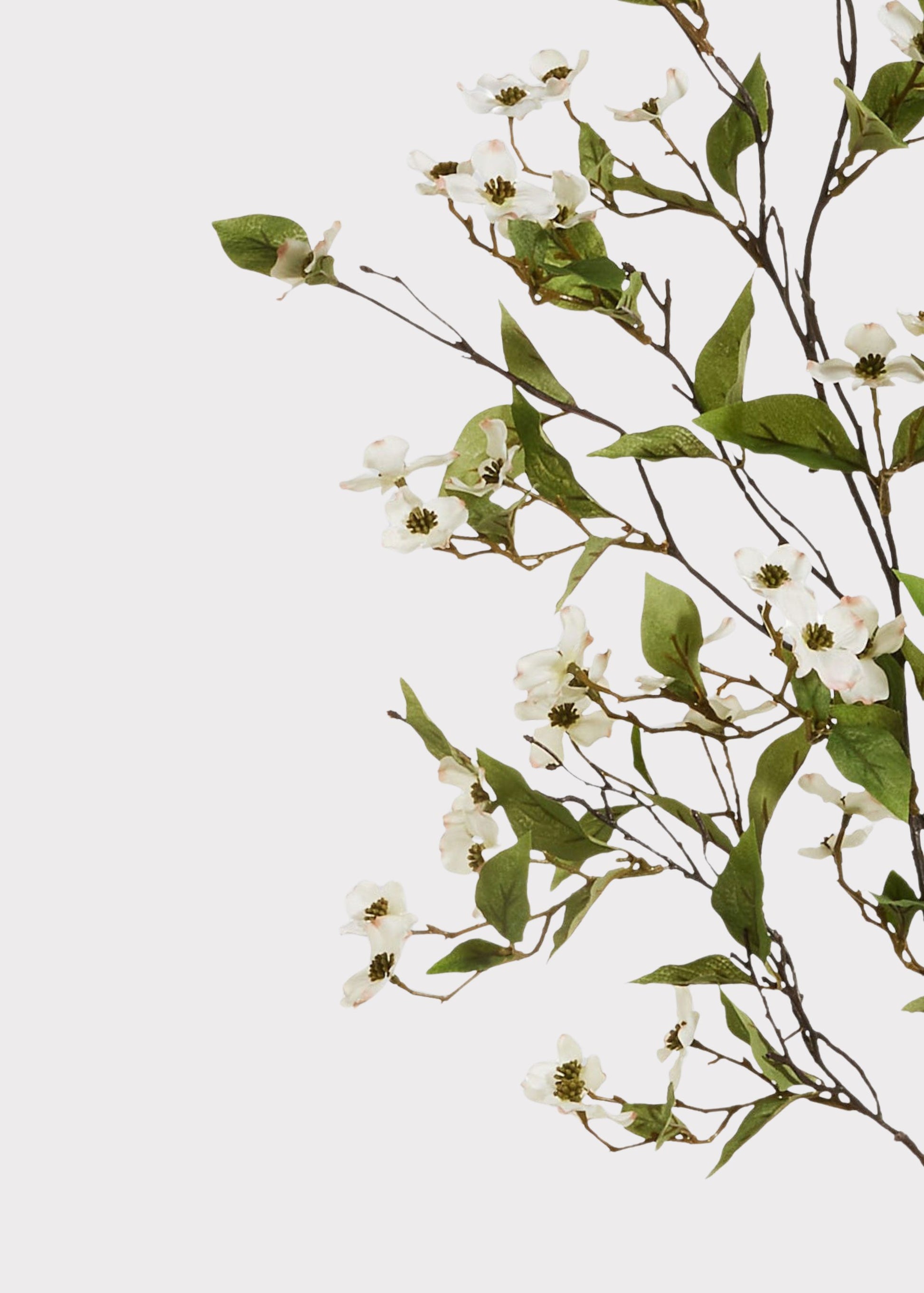 Close-up of fake dogwood flower branch