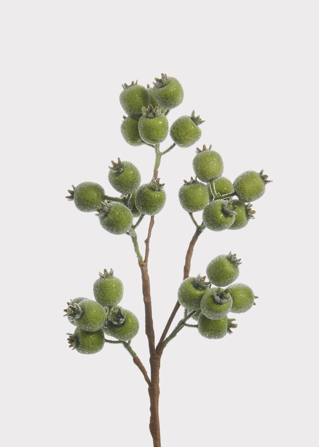 Iced Green Berry Pod Branch