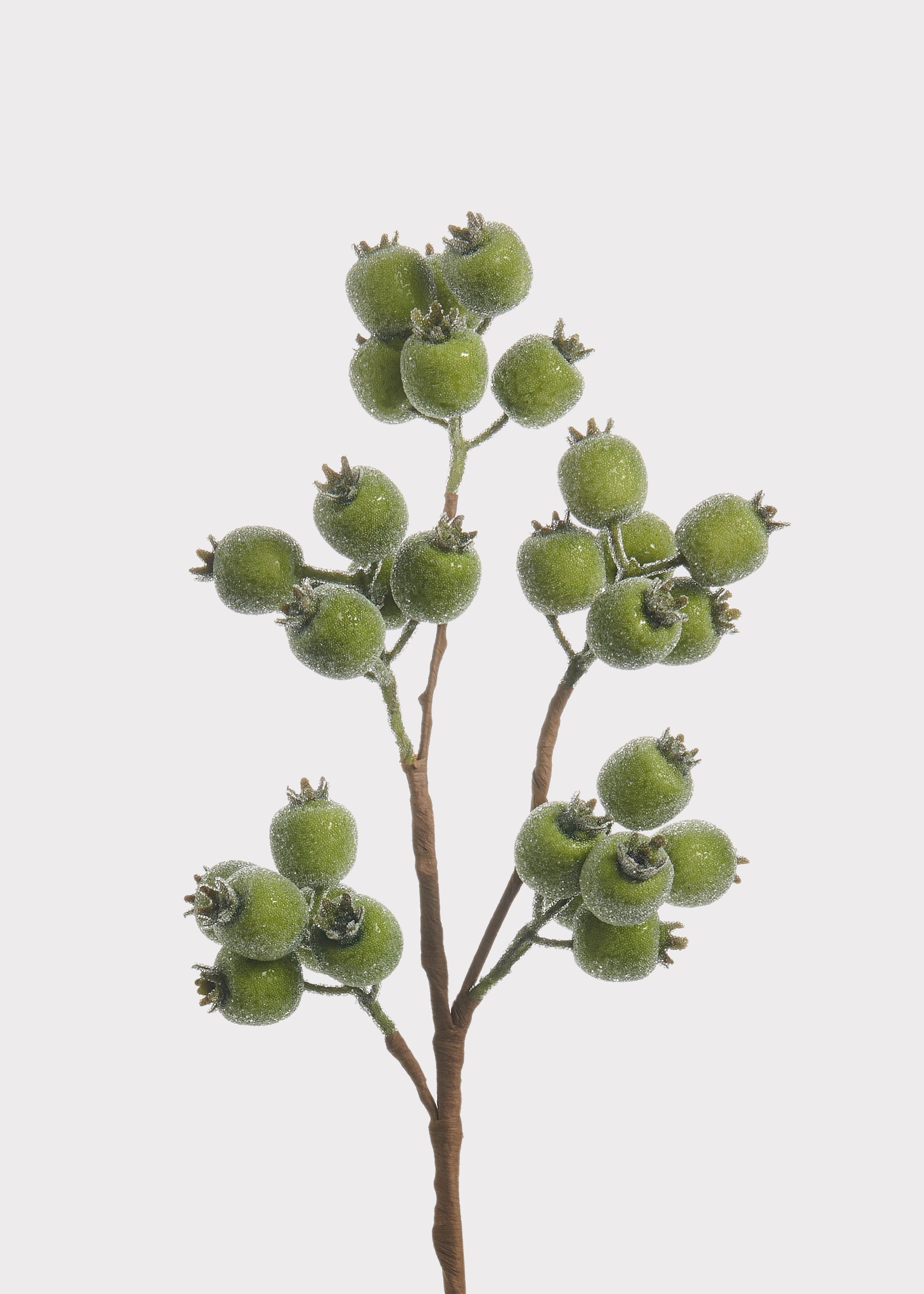 Iced Green Berry Pod Branch