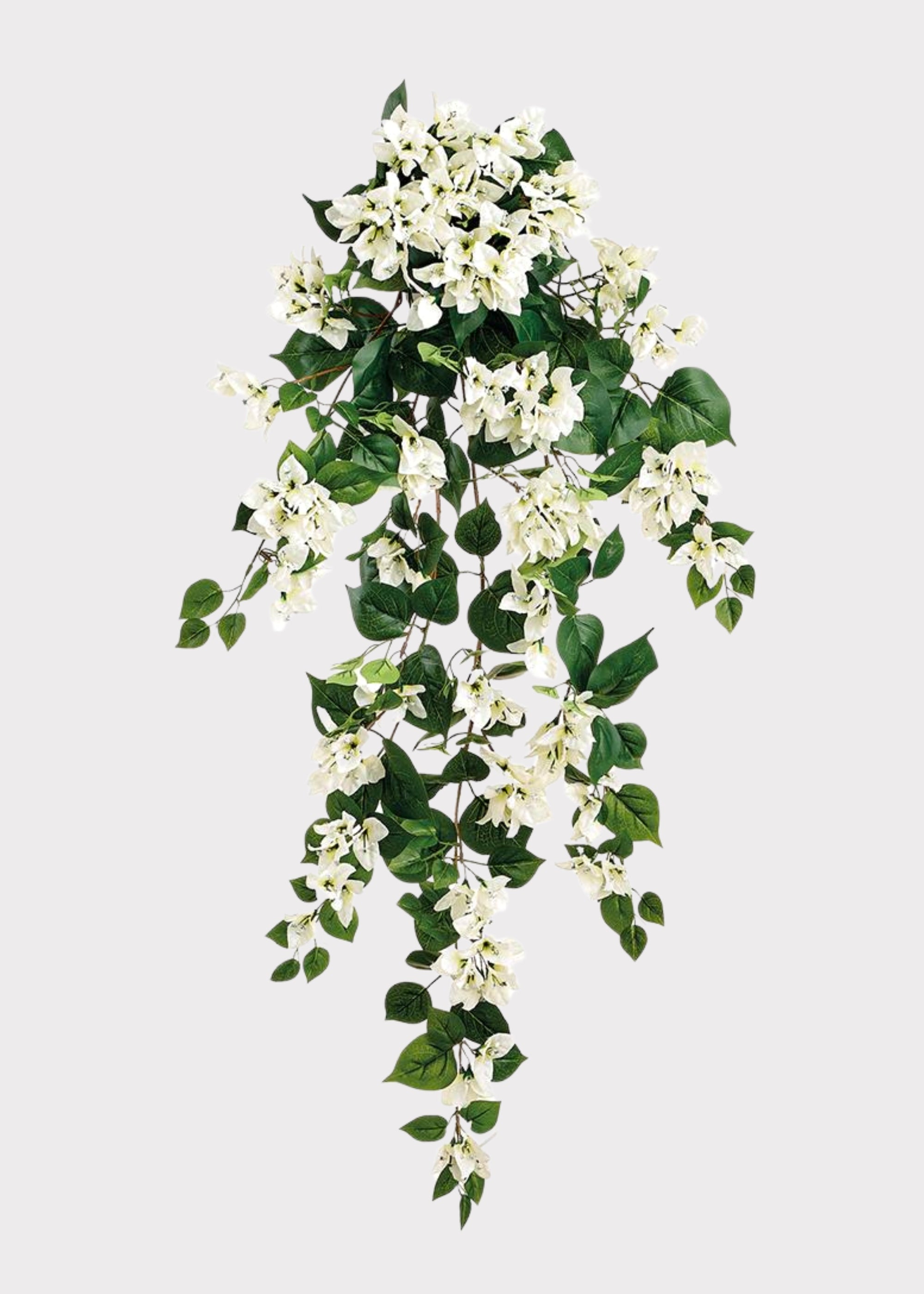 Bougainvillea Hanging Bush in Cream | Fake Outdoor Flowers | Afloral