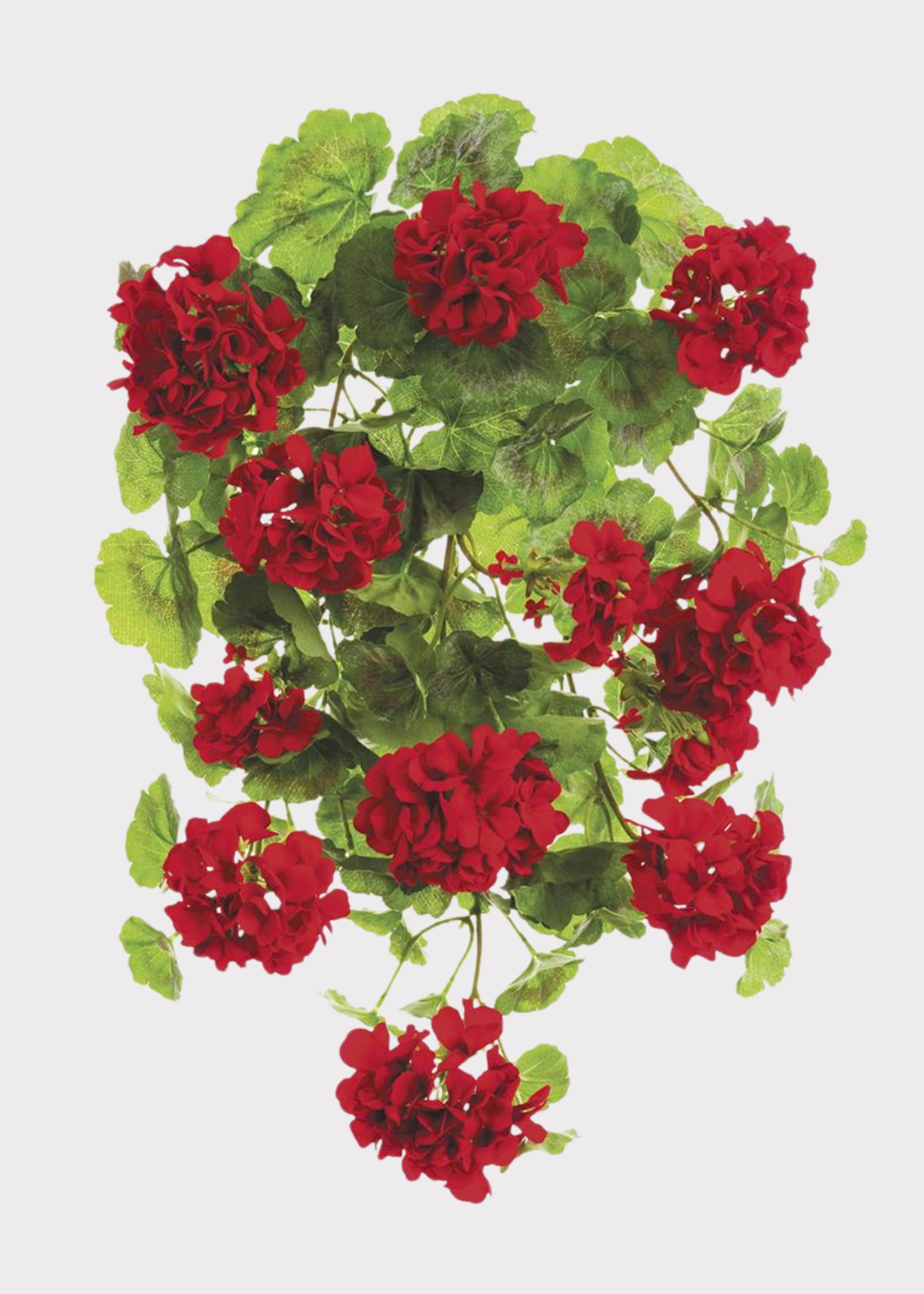Red Hanging Fake Geranium