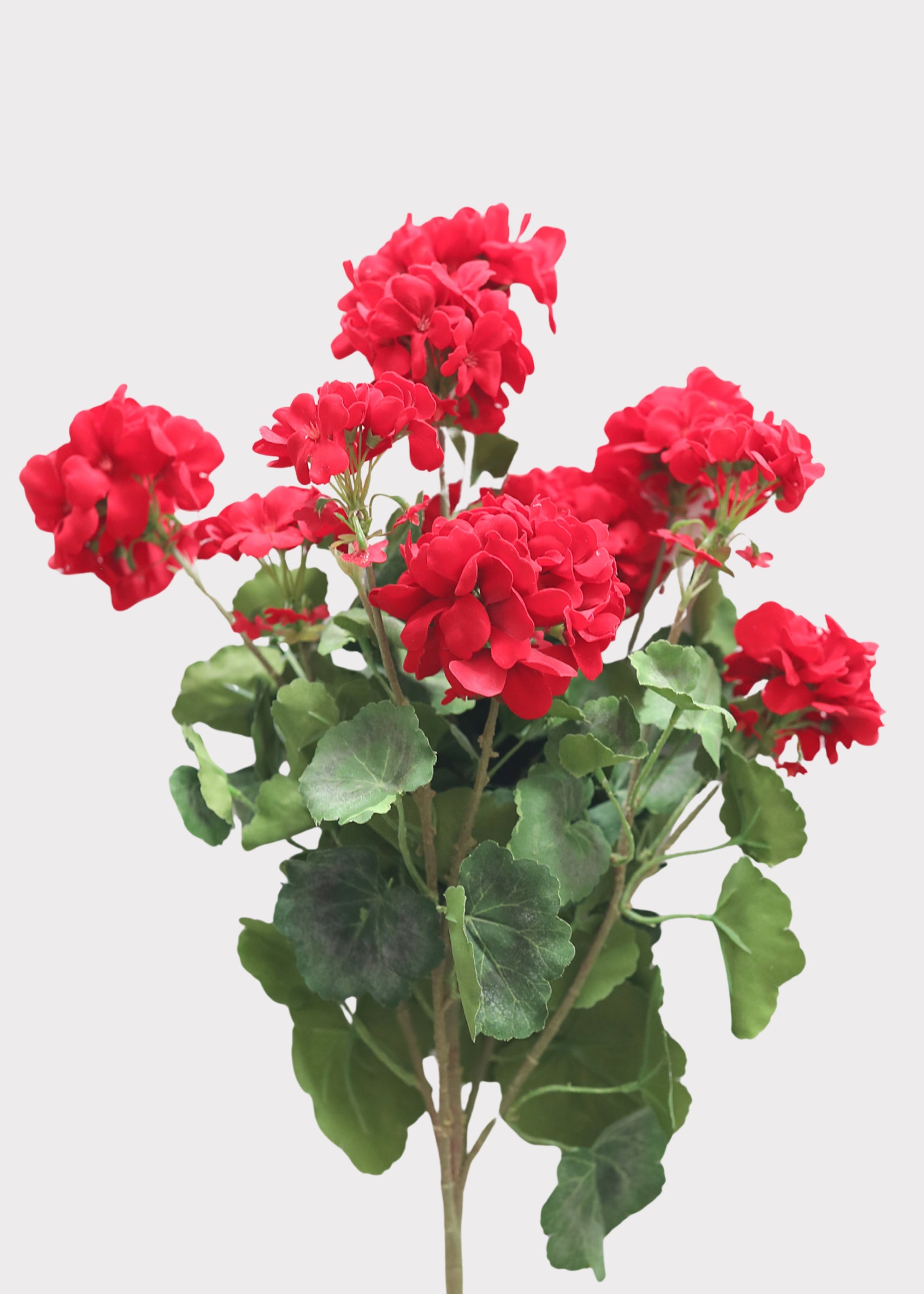 red indoor planter Allstate Floral Fbg041-re 24 in. UV Protected X5 Geranium Bush
