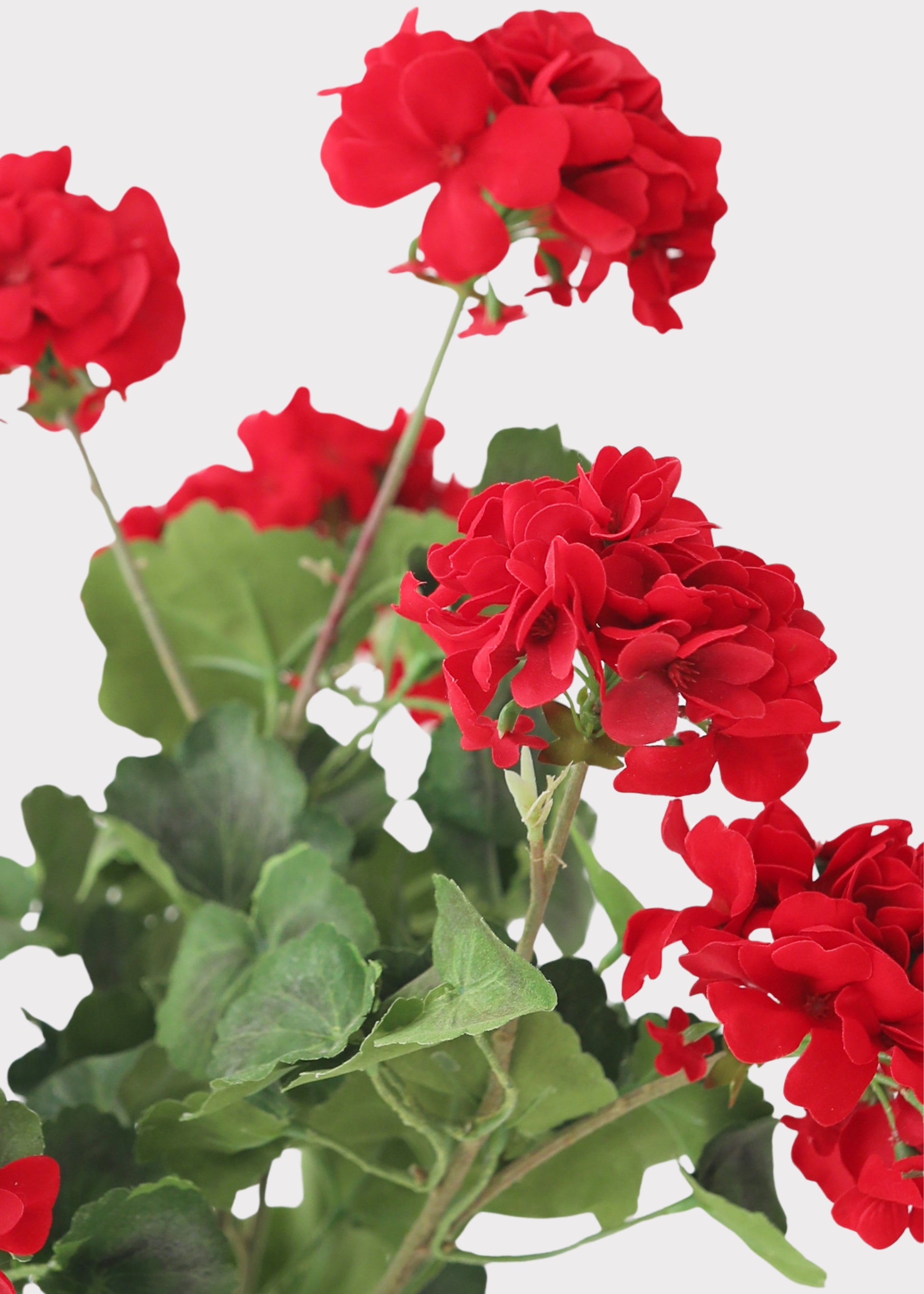 Artificial Red Geraniums