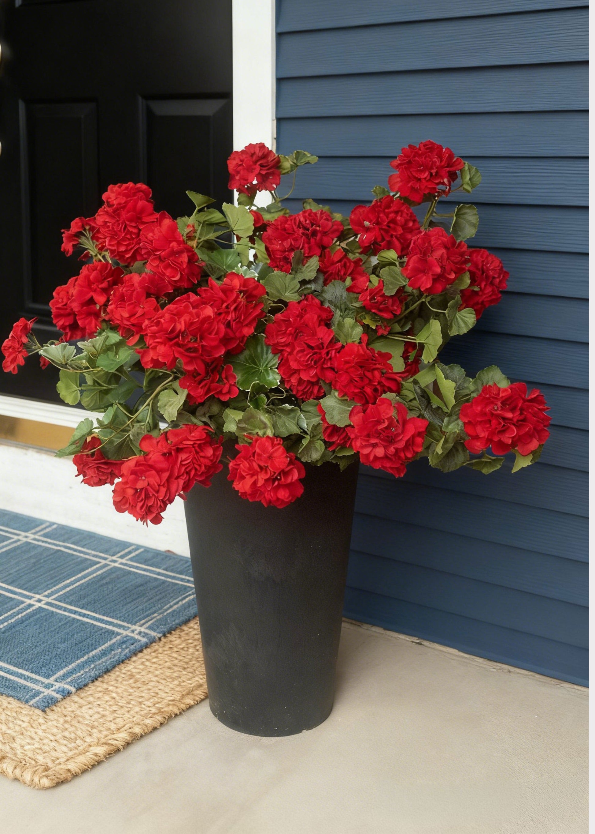 red geranium bush on the front porch