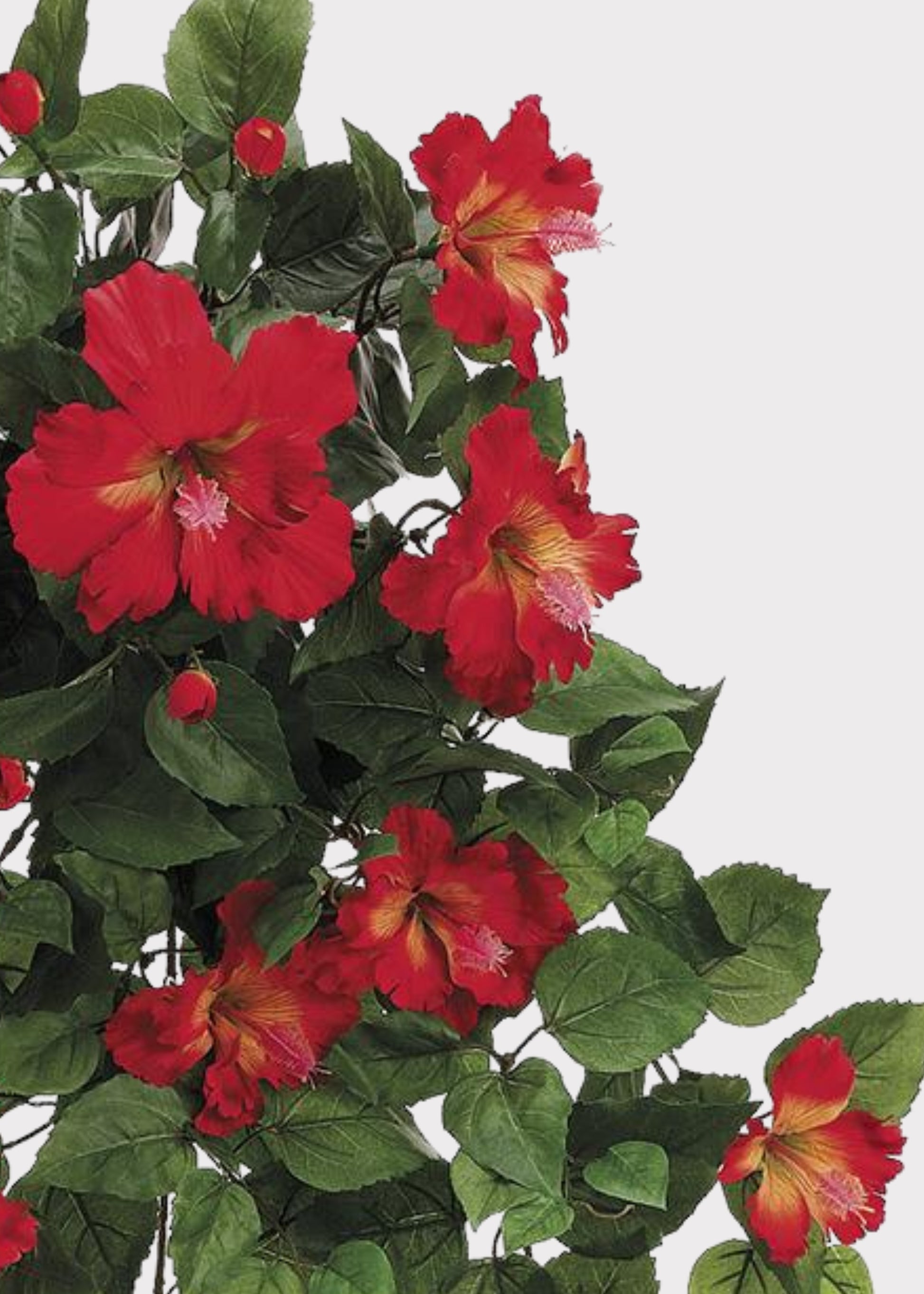 Close-up of a Red Artificial Hibiscus Bush