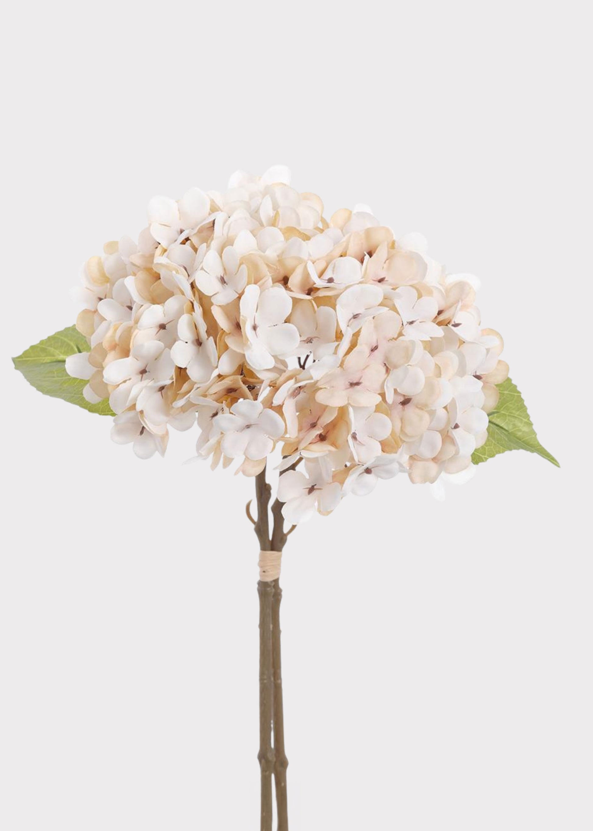 Cream Artificial Hydrangea Bundle
