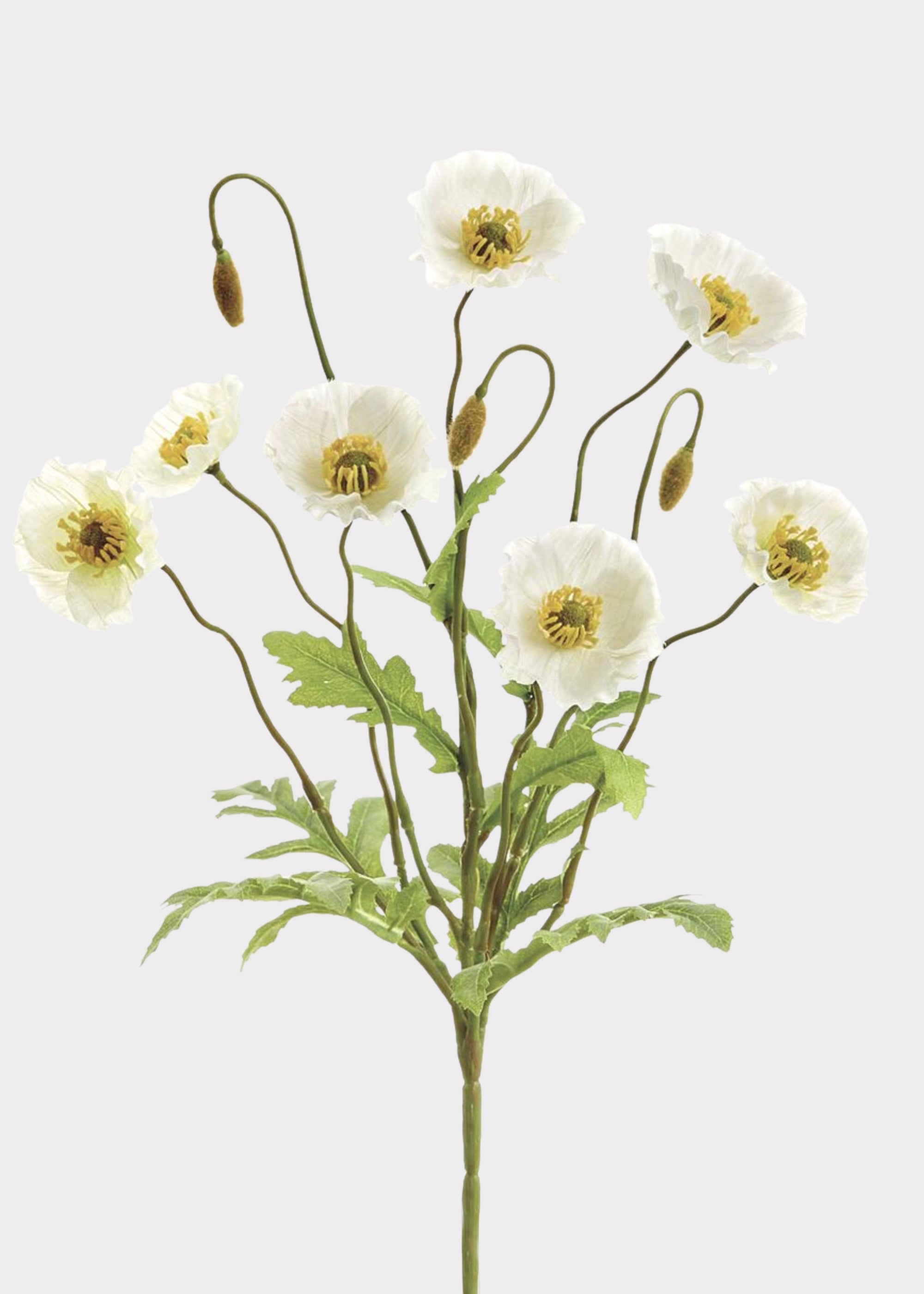 Faux Poppy Bush in Cream | Artificial Blooming Flowers at Afloral