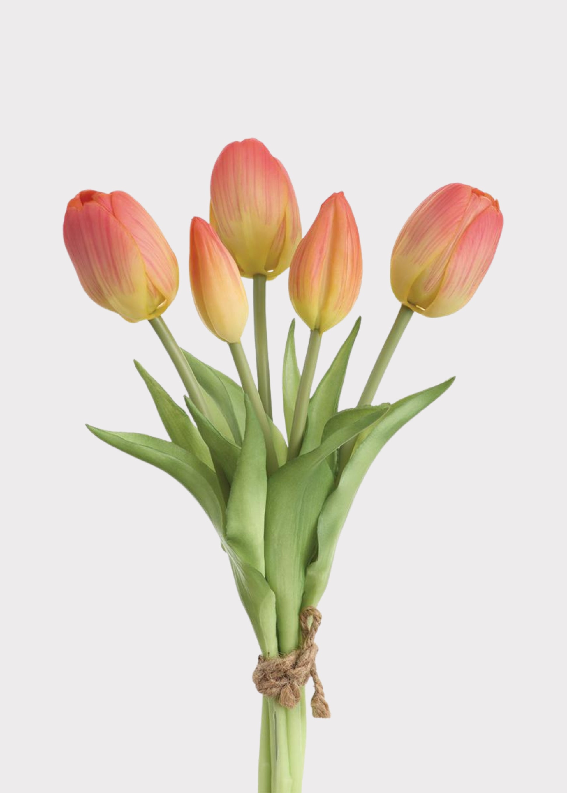 Coral Real Touch Tulip Bundle