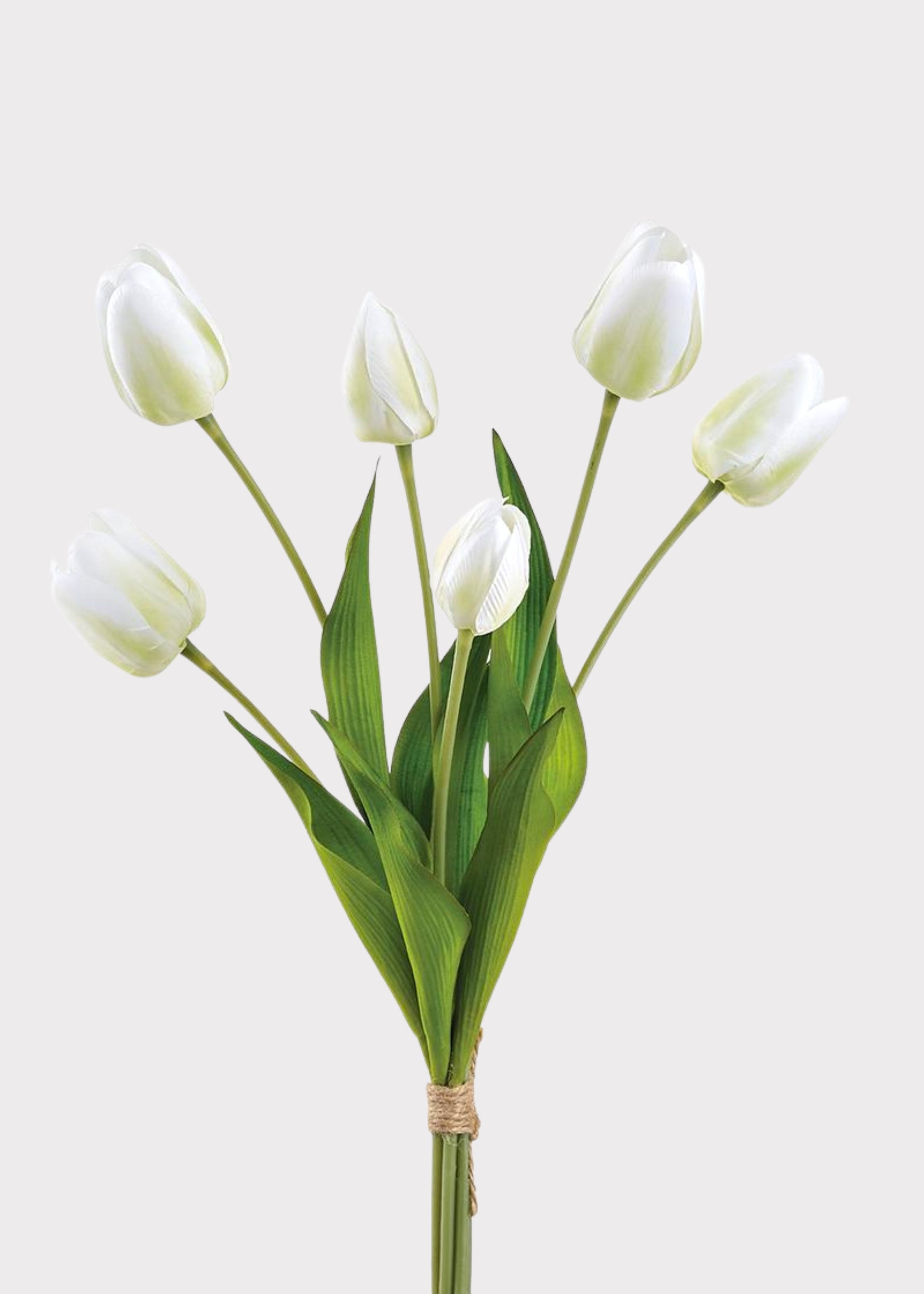 Bouquet of white tulips 