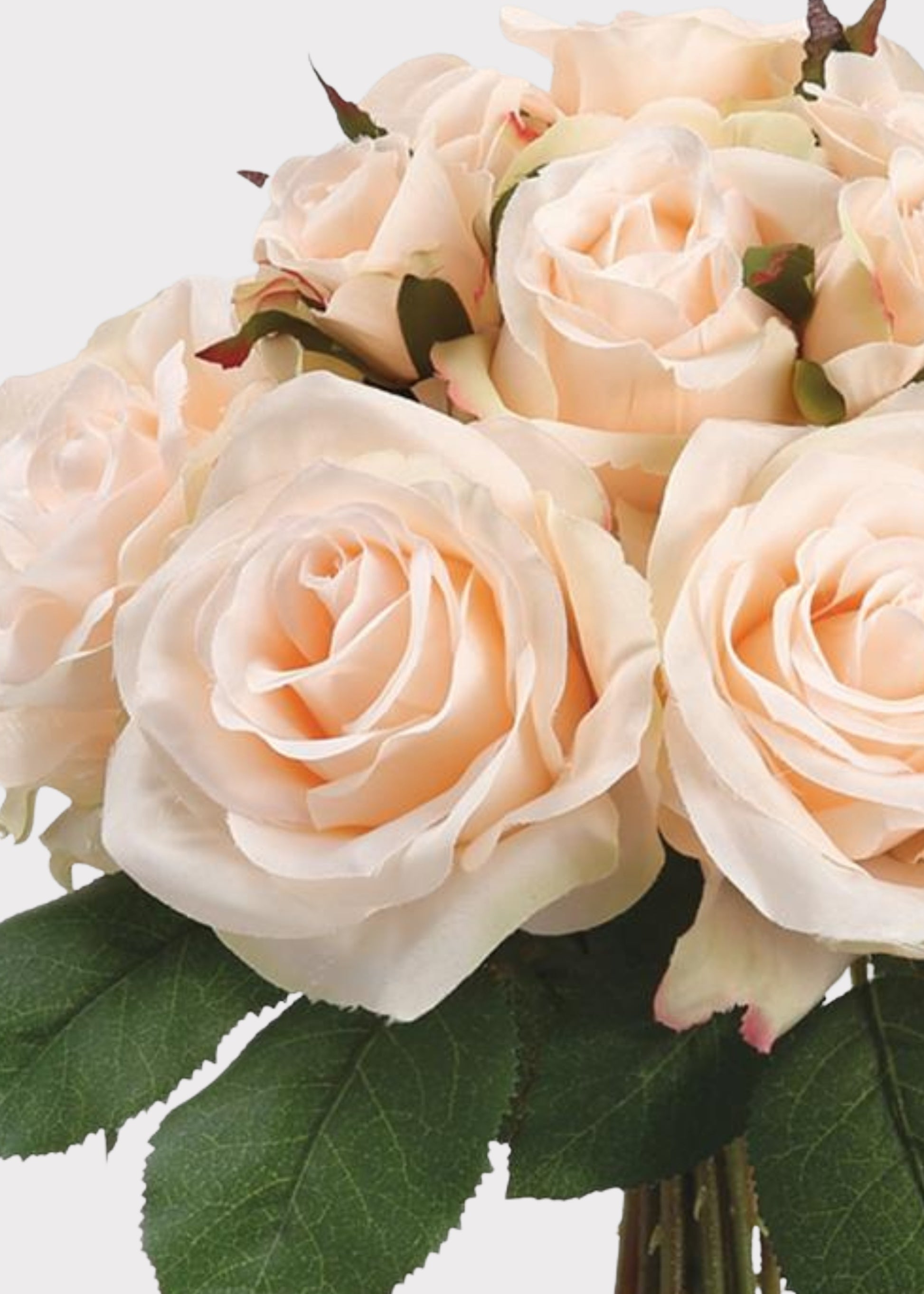 Artificial Roses in Peach Cream 