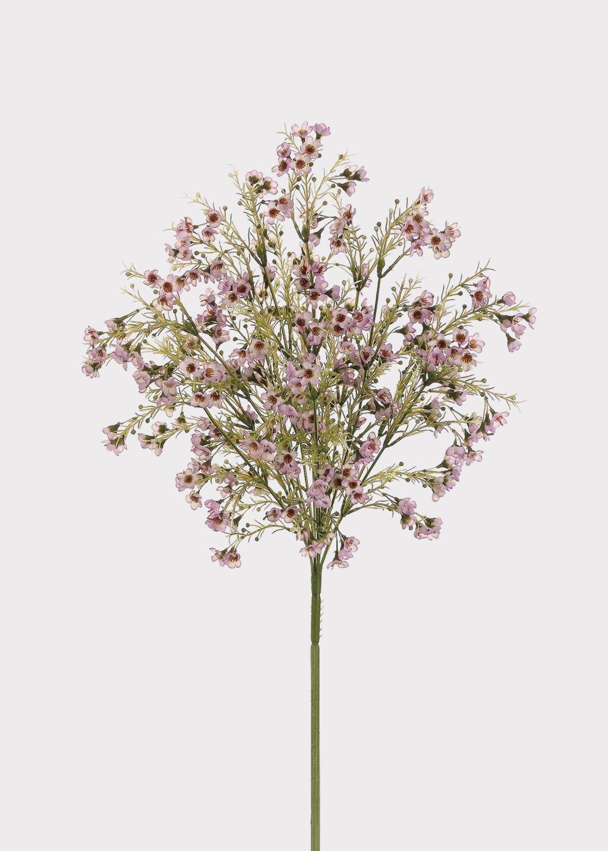 Artificial Wildflowers Waxflower Bush in Lavender