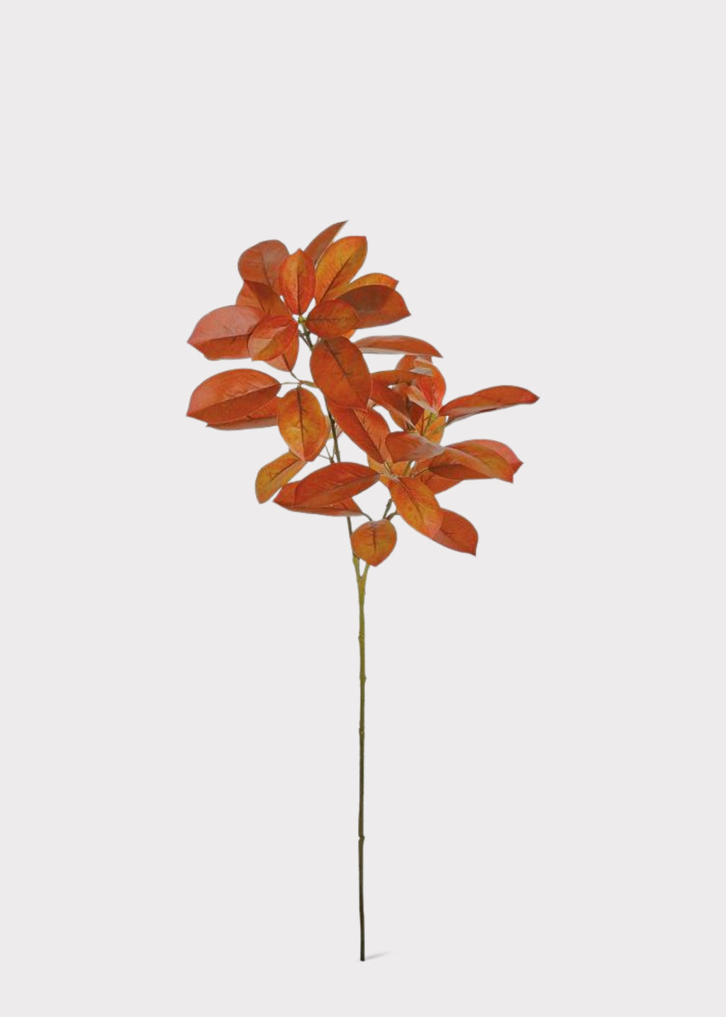 Fake Citrus Leaf Branch in Burnt Orange