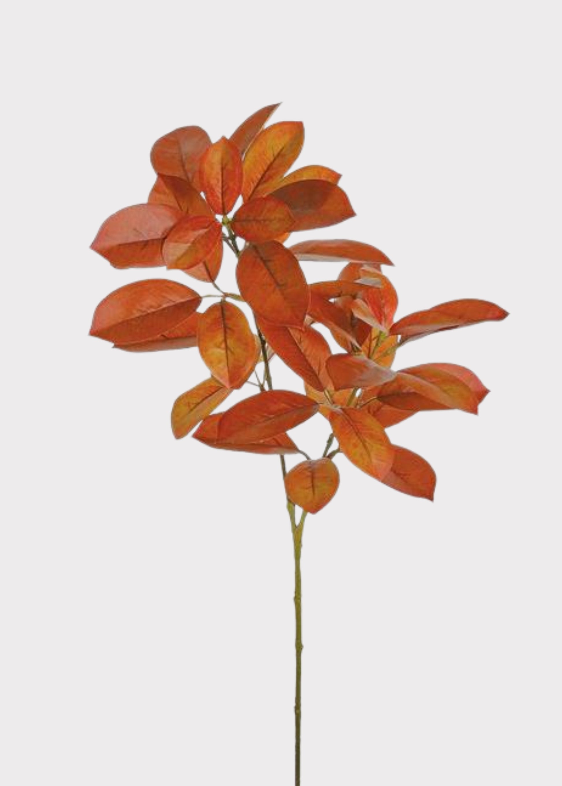 Burnt Orange and Burgundy Fake Citrus Leaf Branch 