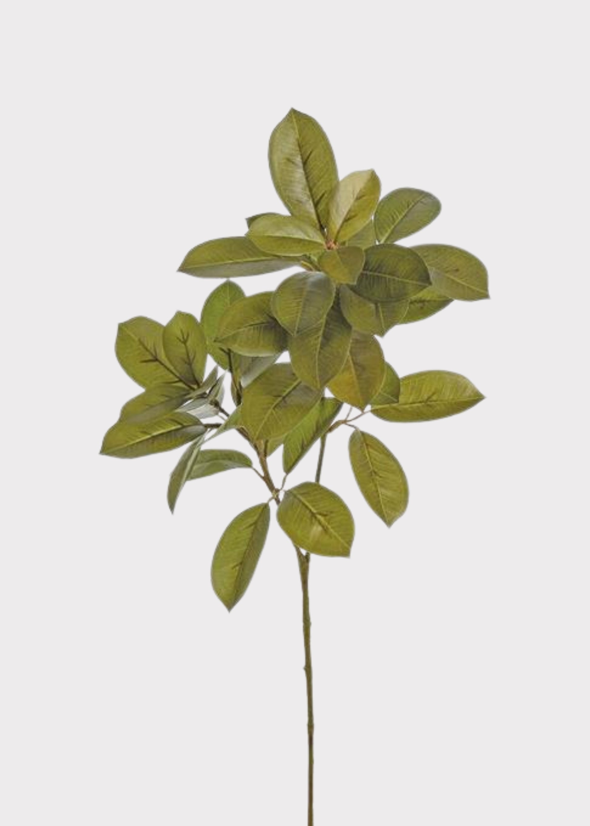 Olive Green Artificial Citrus Leaf Branch
