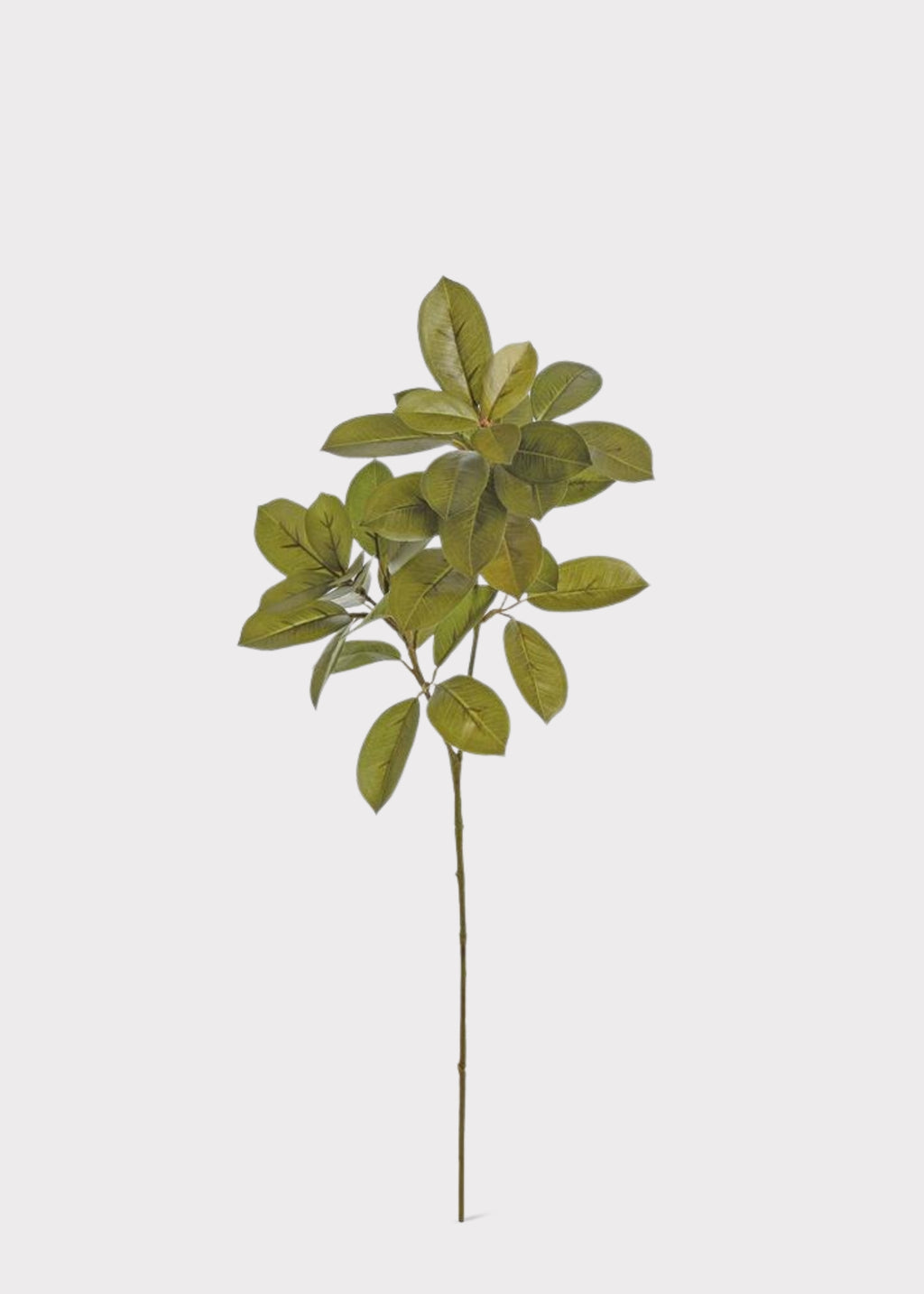  Artificial Citrus Leaf Branch in Olive Green