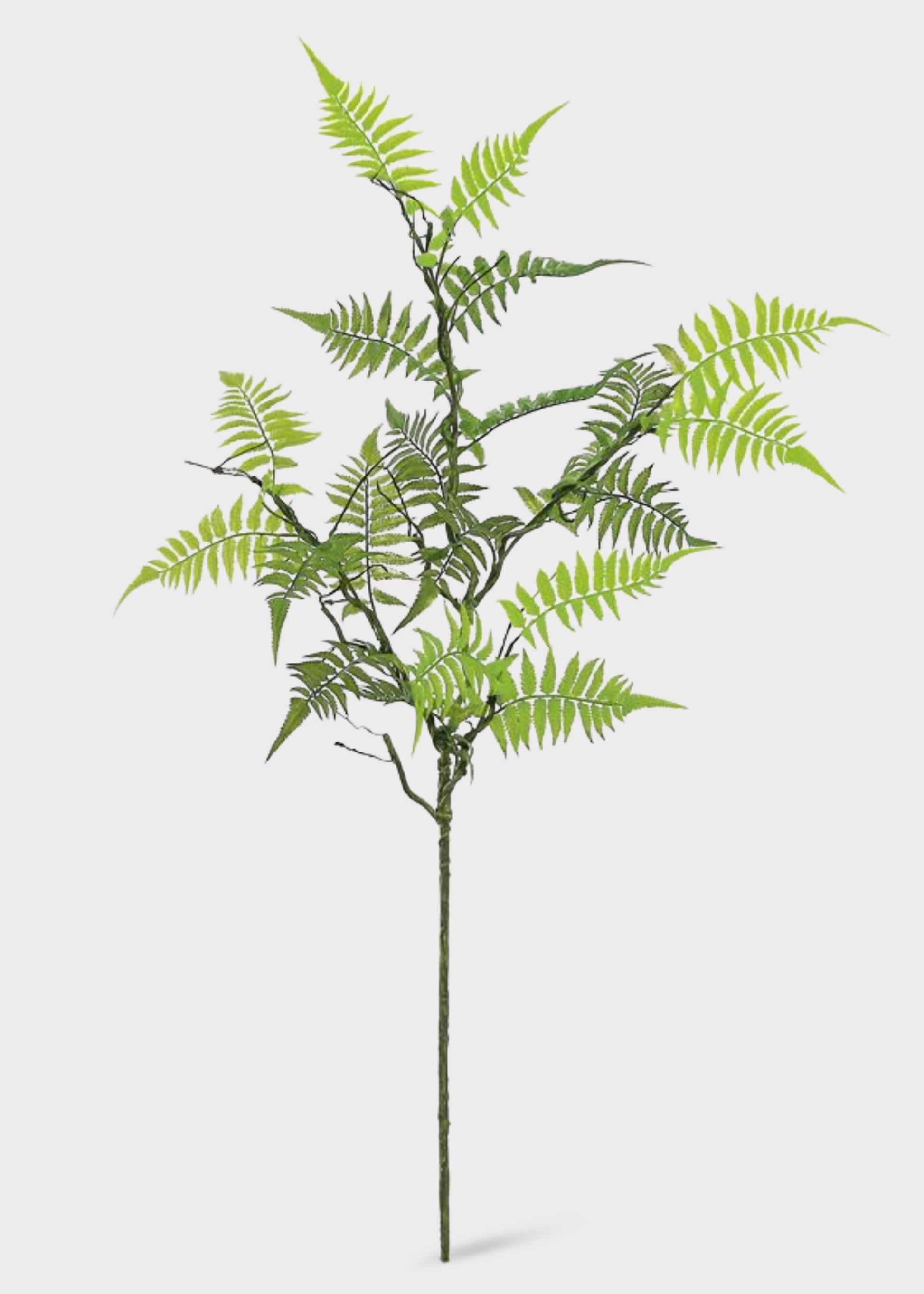 Tall Artificial Mountain Fern Statement Branch 