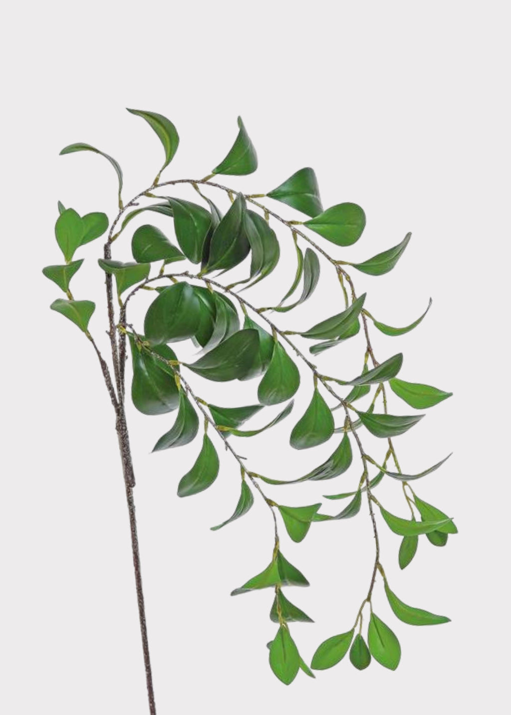Faux Paddle Leaf Branch