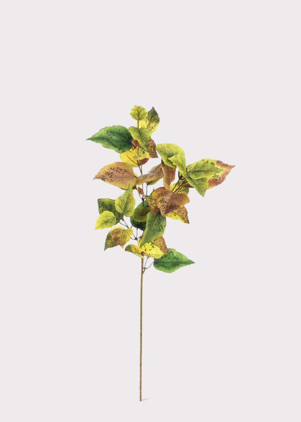 Fake Cottonwood Leaf Branch in Autumn Brown and Green 