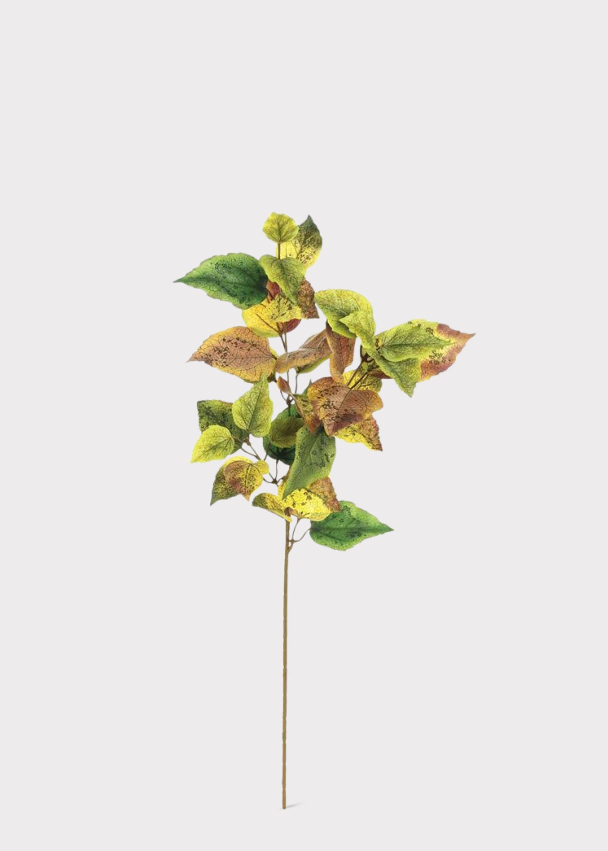 Fake Cottonwood Leaf Branch in Autumn Brown and Green 