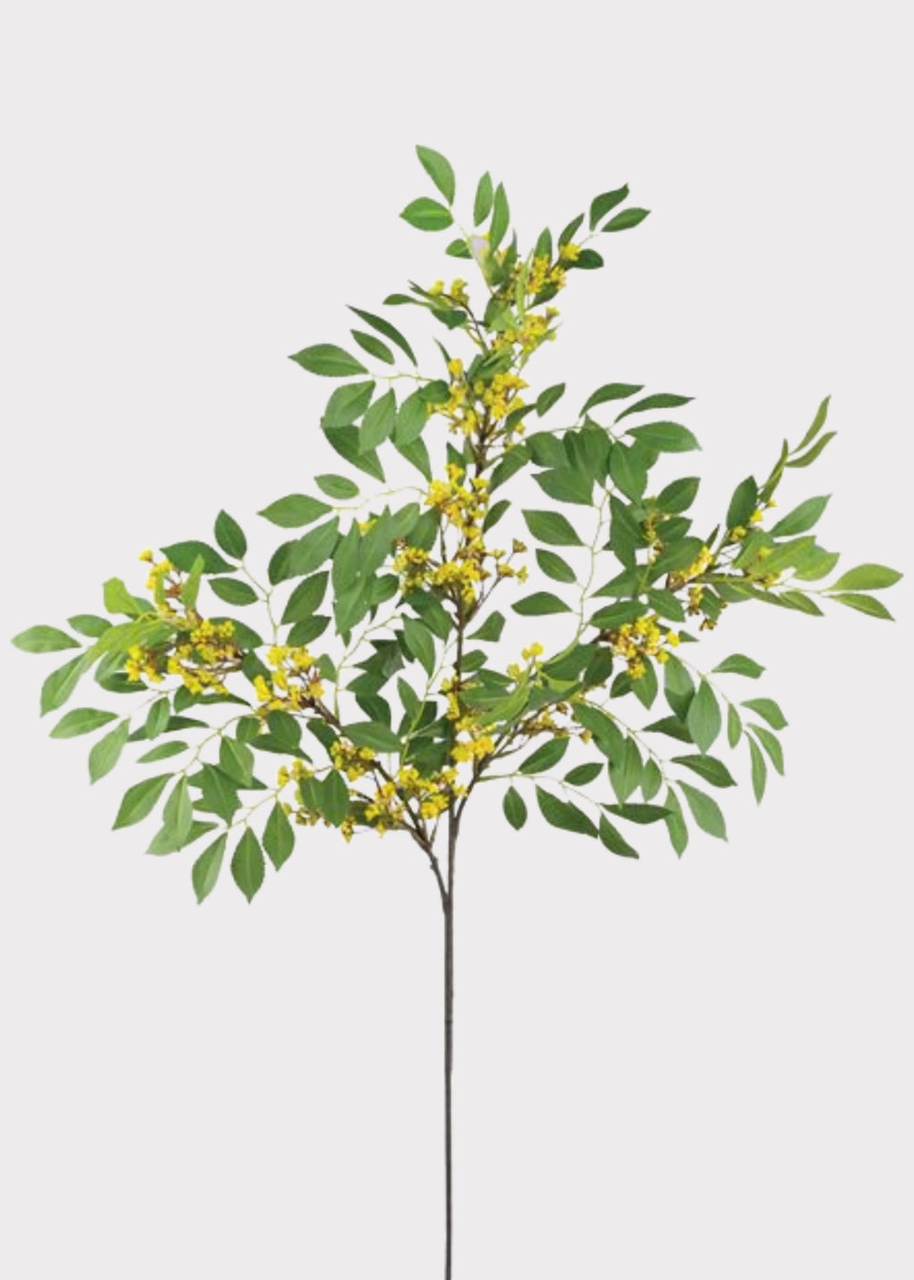 Fake Sumac Leaf Branch