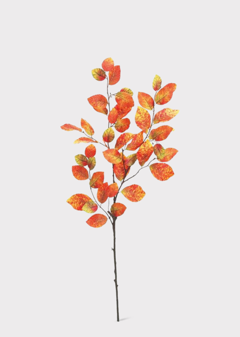 Fake Fall Beech Leaf Branch 