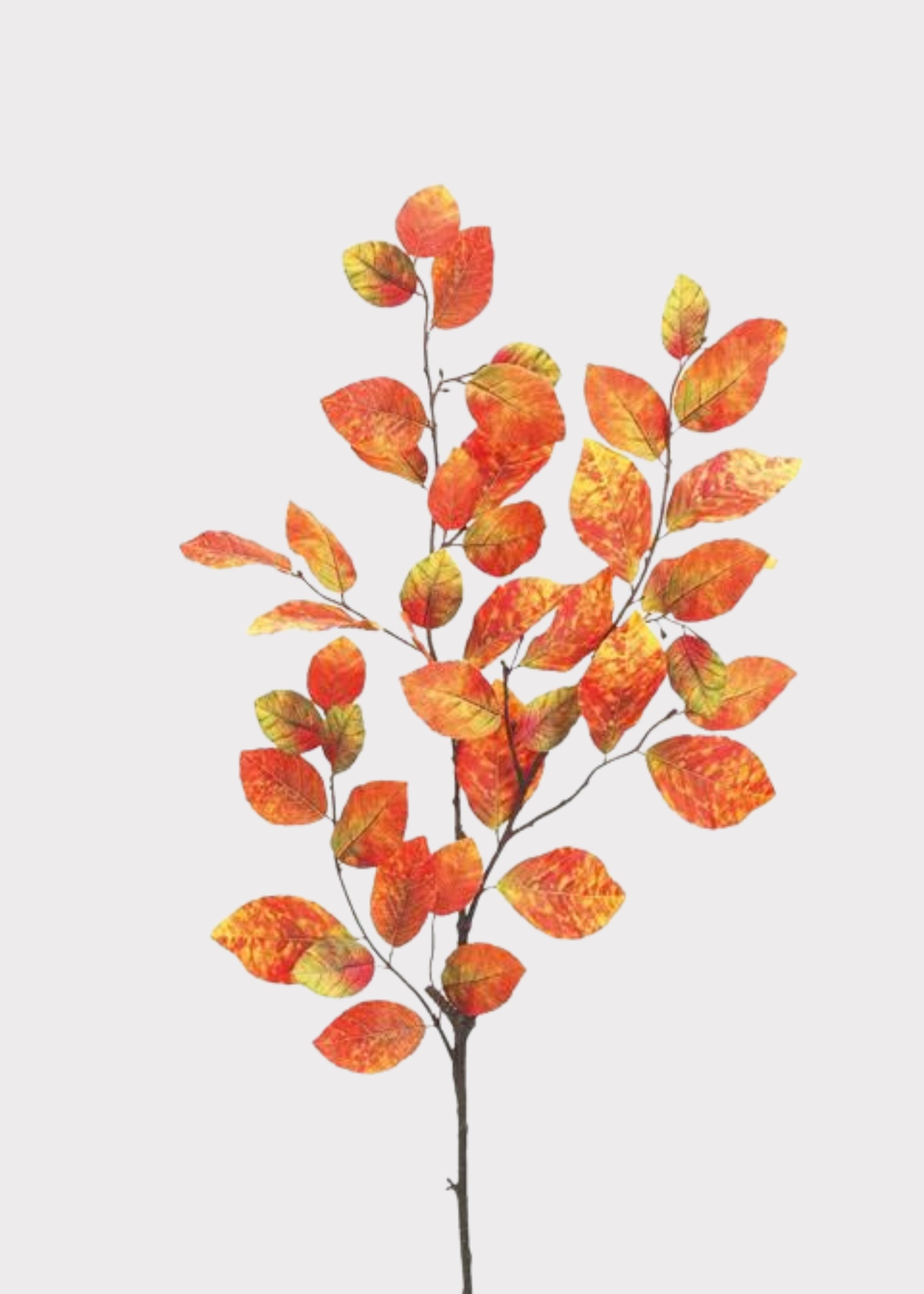 Rust Orange and Green Fake Fall Beech Leaf Branch 