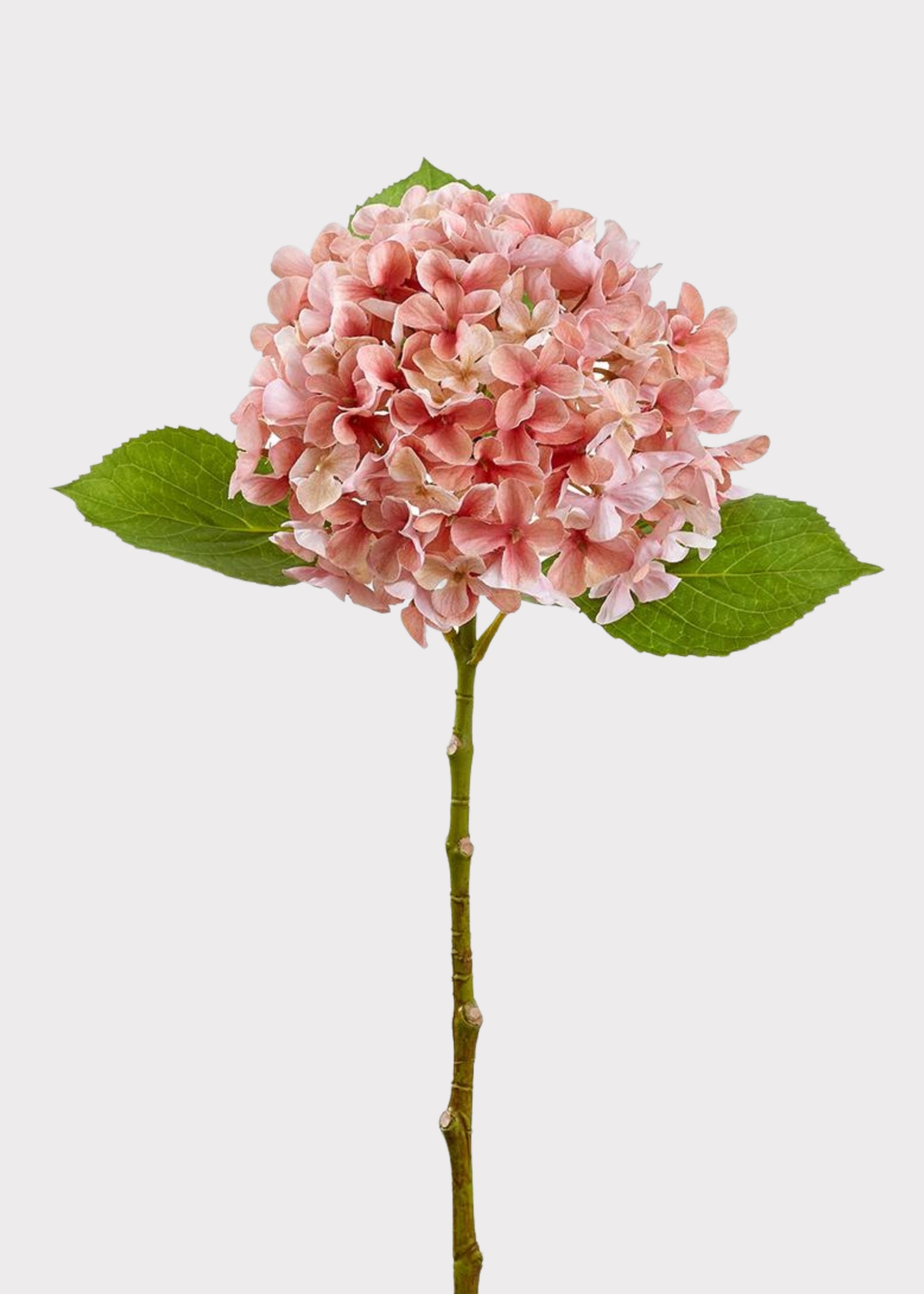新品未使用　OHGA FLOWER JAGUARD ピンク Mauve Pink Fake Hydrangea Flower - 17.5