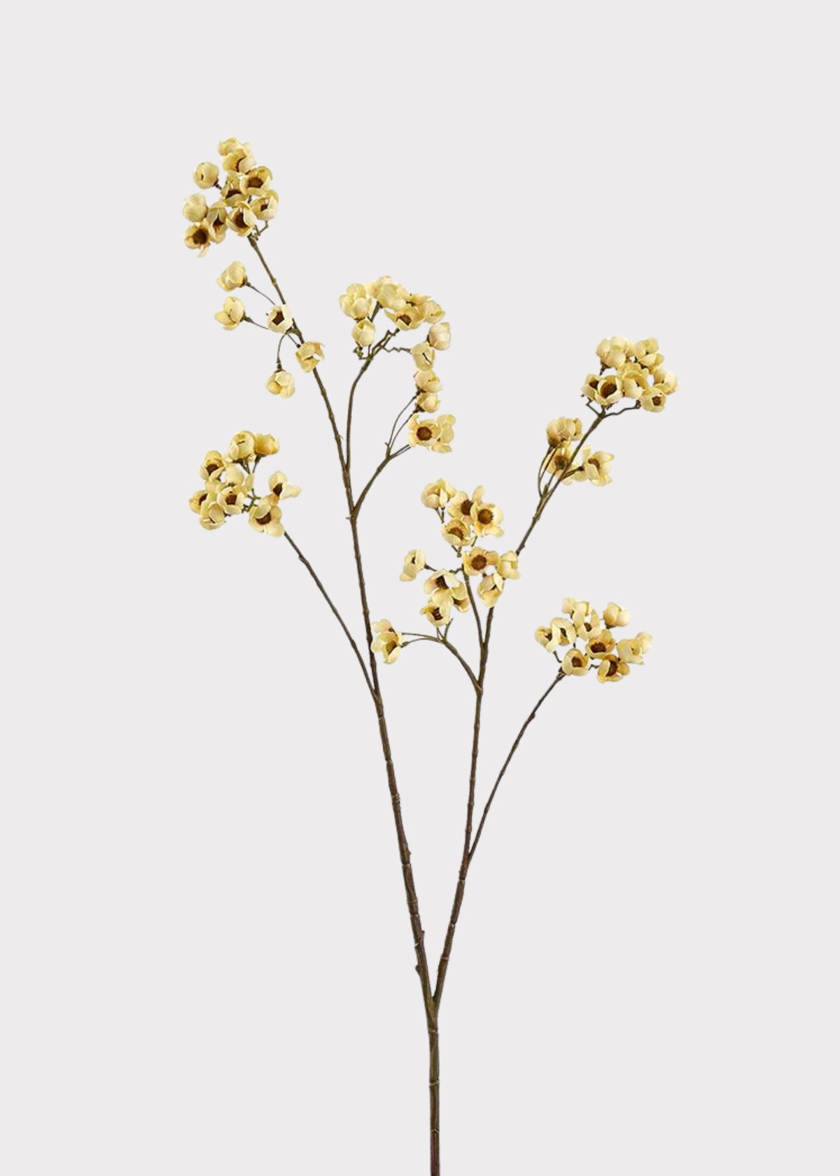Artificial Blossom Flower Branch in Cream