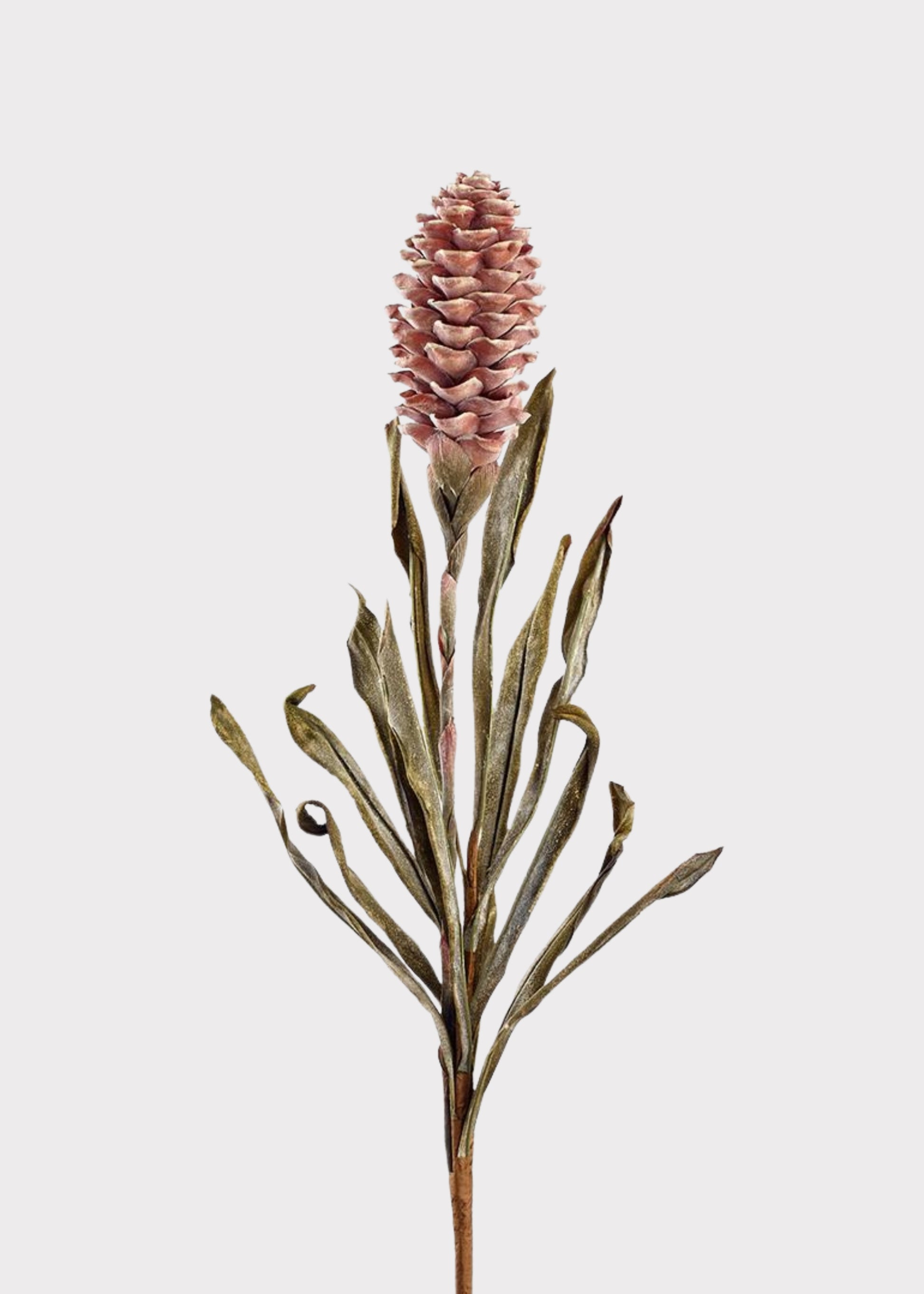 Dried Look Tropical Ginger Fake Flower 