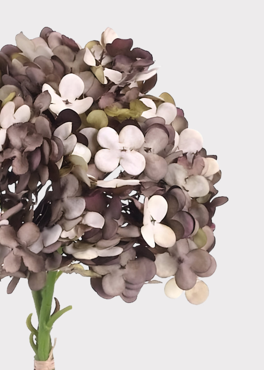 Close-up of a Vintage Brown Taupe Fake Hydrangea Flower Bundle