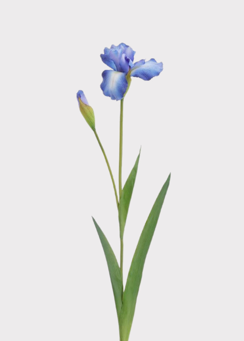 Close-up of an Iris Fake Flower