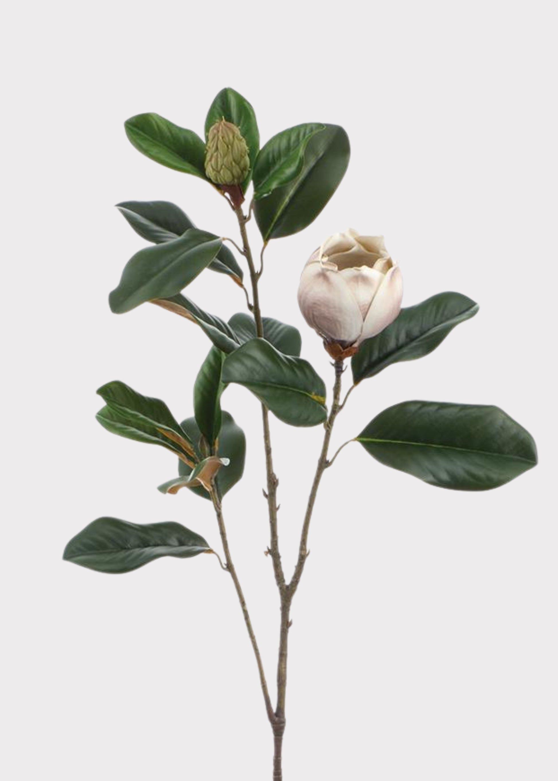 Beige and Taupe Fake Blooming Magnolia Flower Branch 