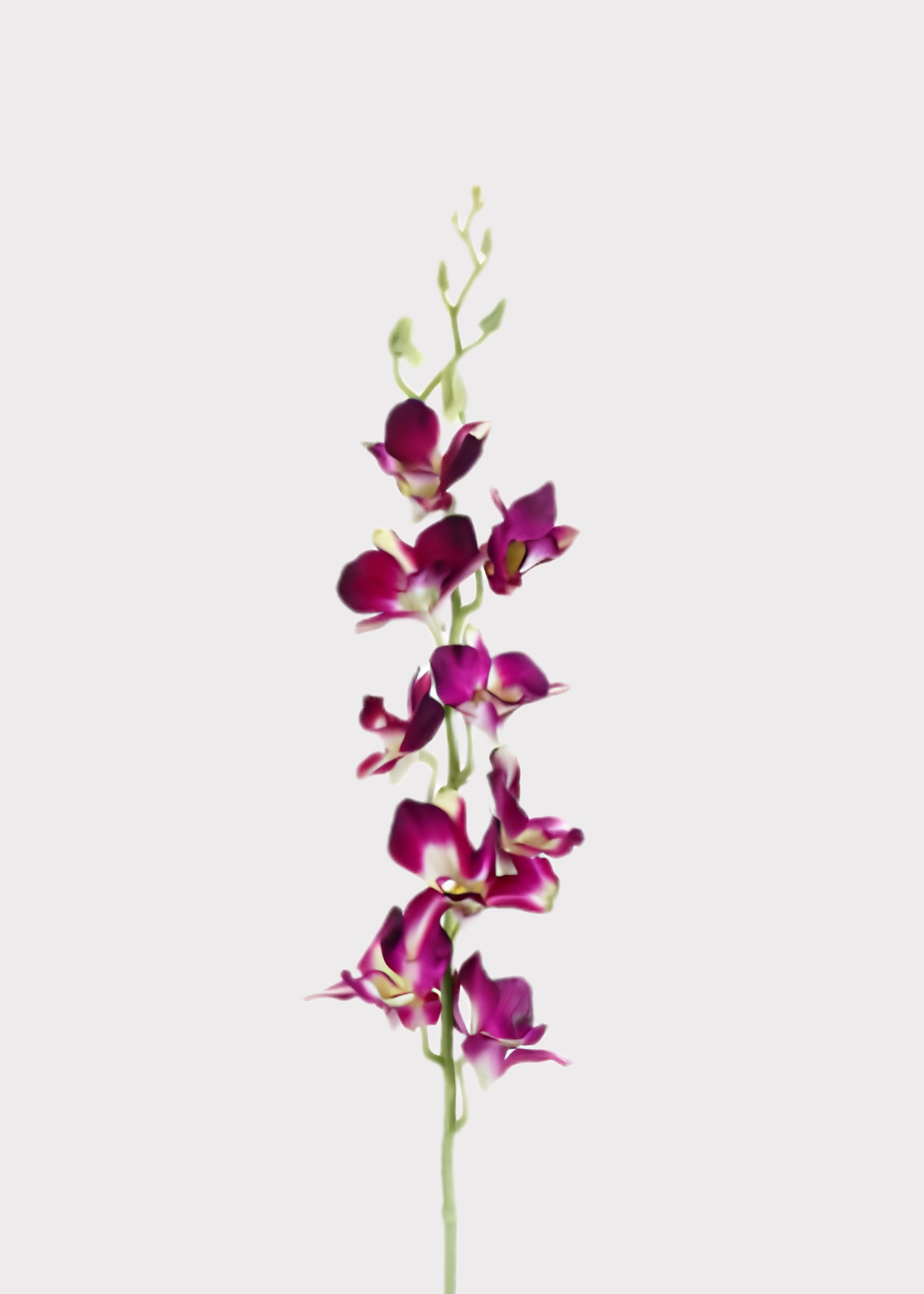 Purple orchid faux flower