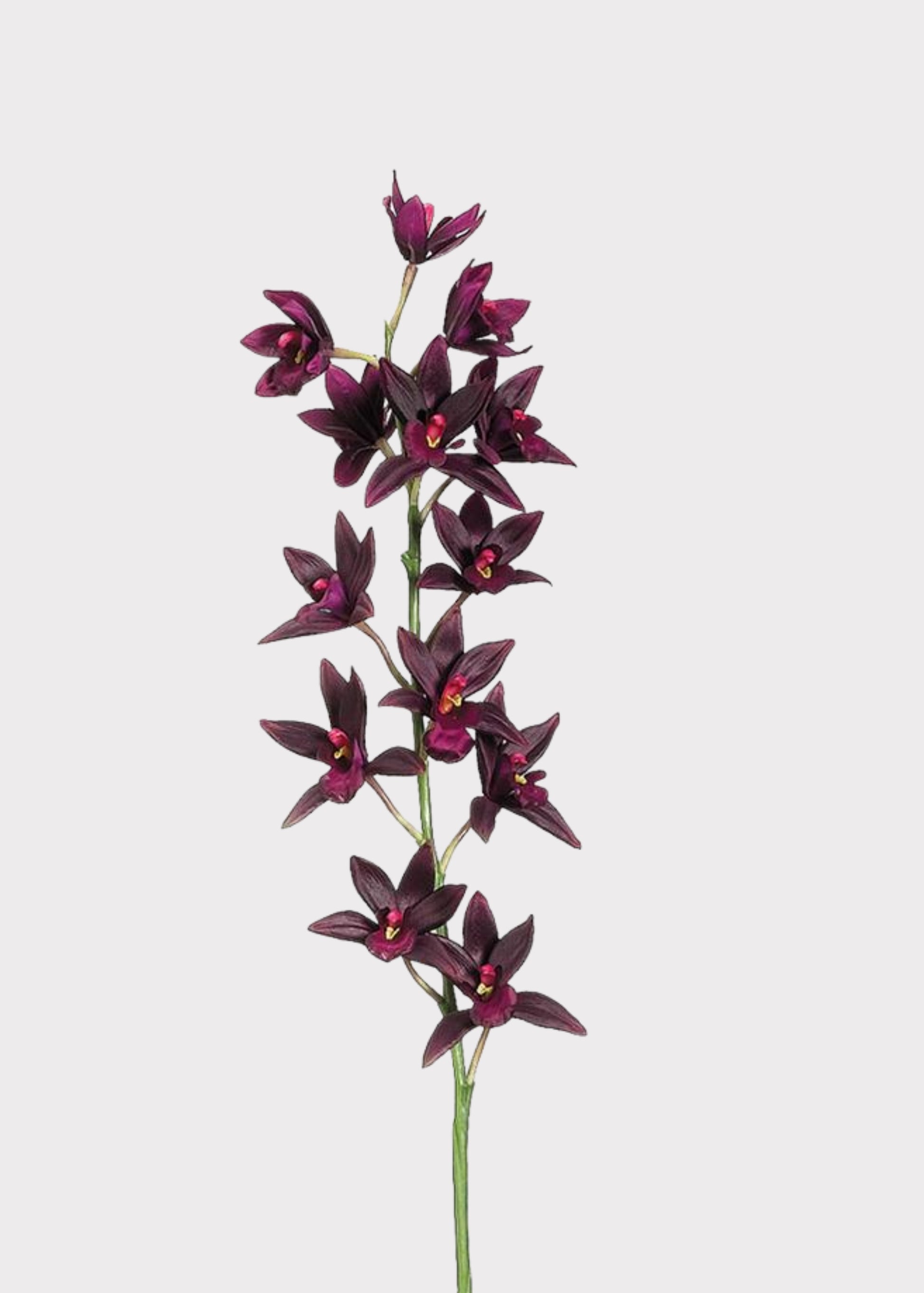Artificial Cymbidium Orchid in Plum