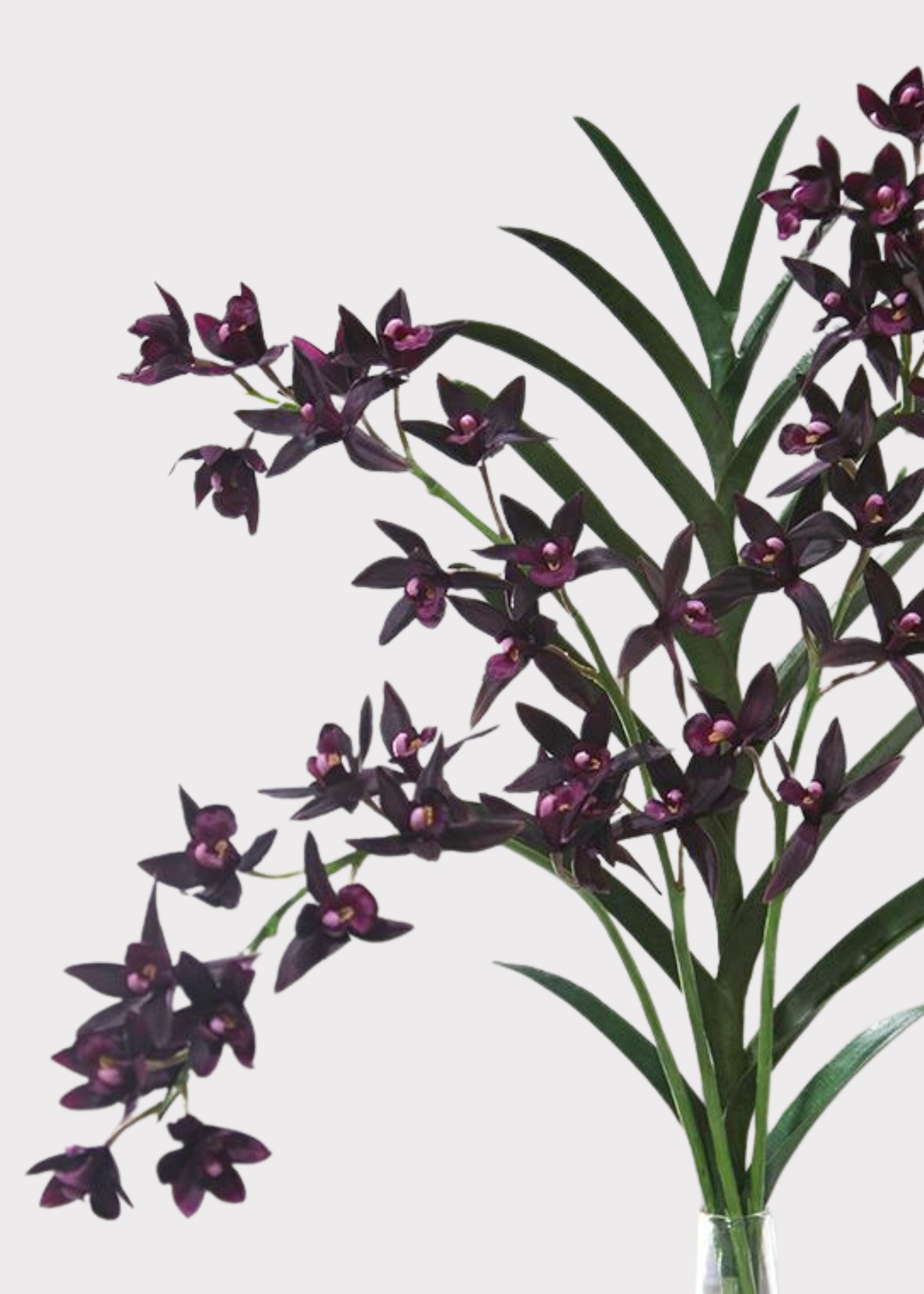 Artificial purple orchids