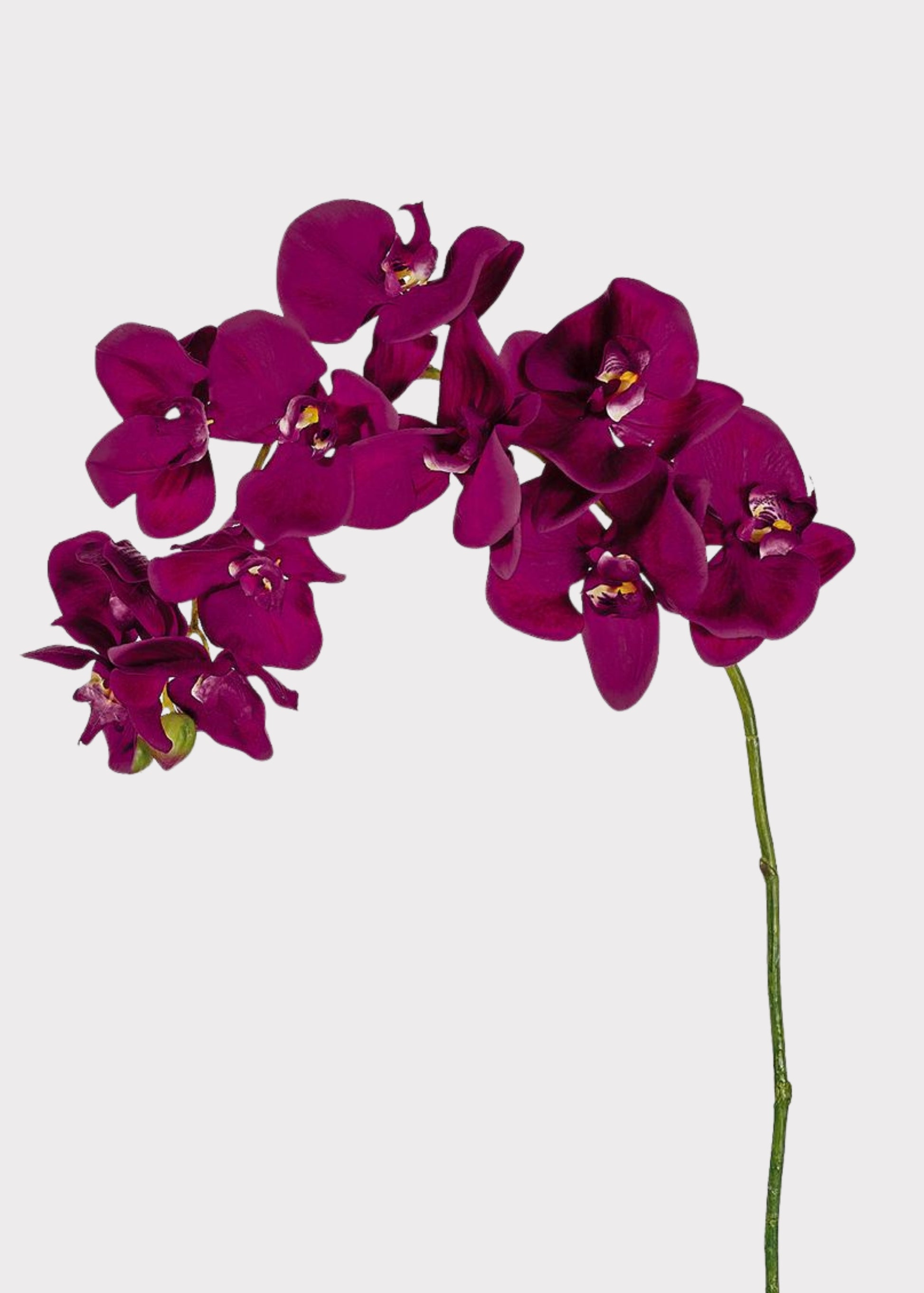 Realistic Fake Flowers Orchid Spray in Violet Fuchsia
