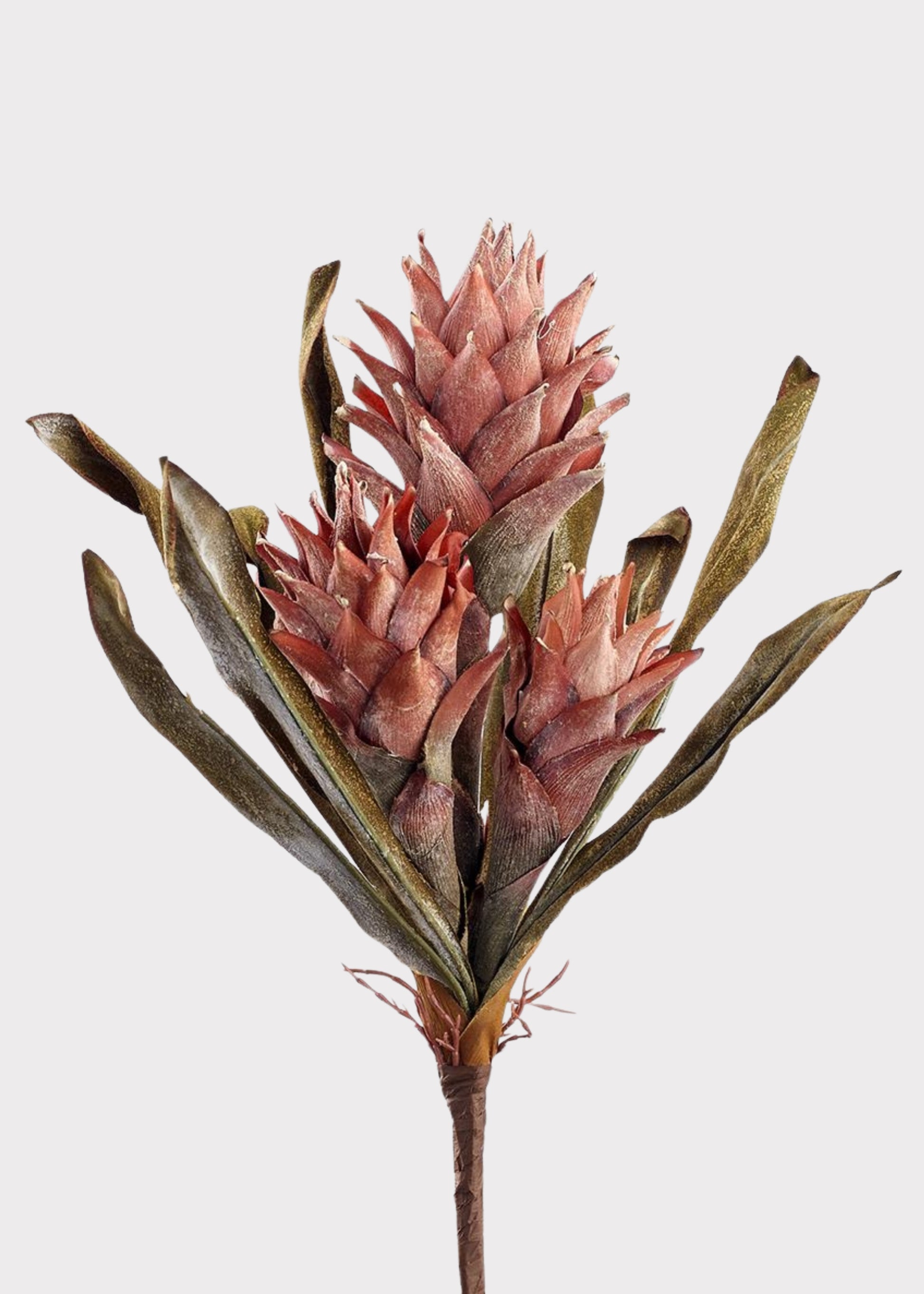 Dried-Look Fake Protea Bush