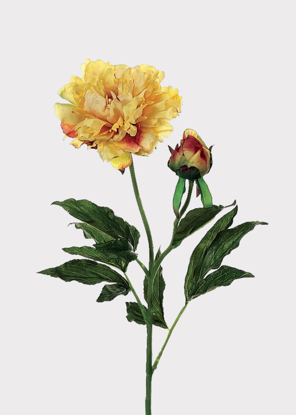 Fake Peony in Yellow 