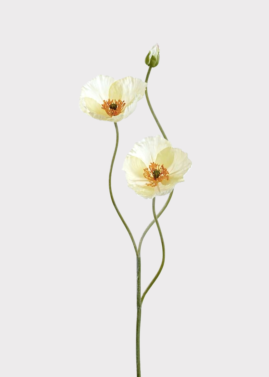 potted poppy plants for sale 29" Poppy Silk Flower Stem -White (Pack of 12)