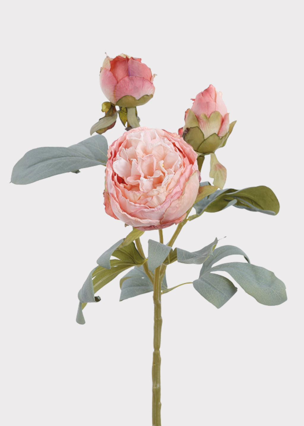 Dried Look Pink Peony Artificial Flower Stem